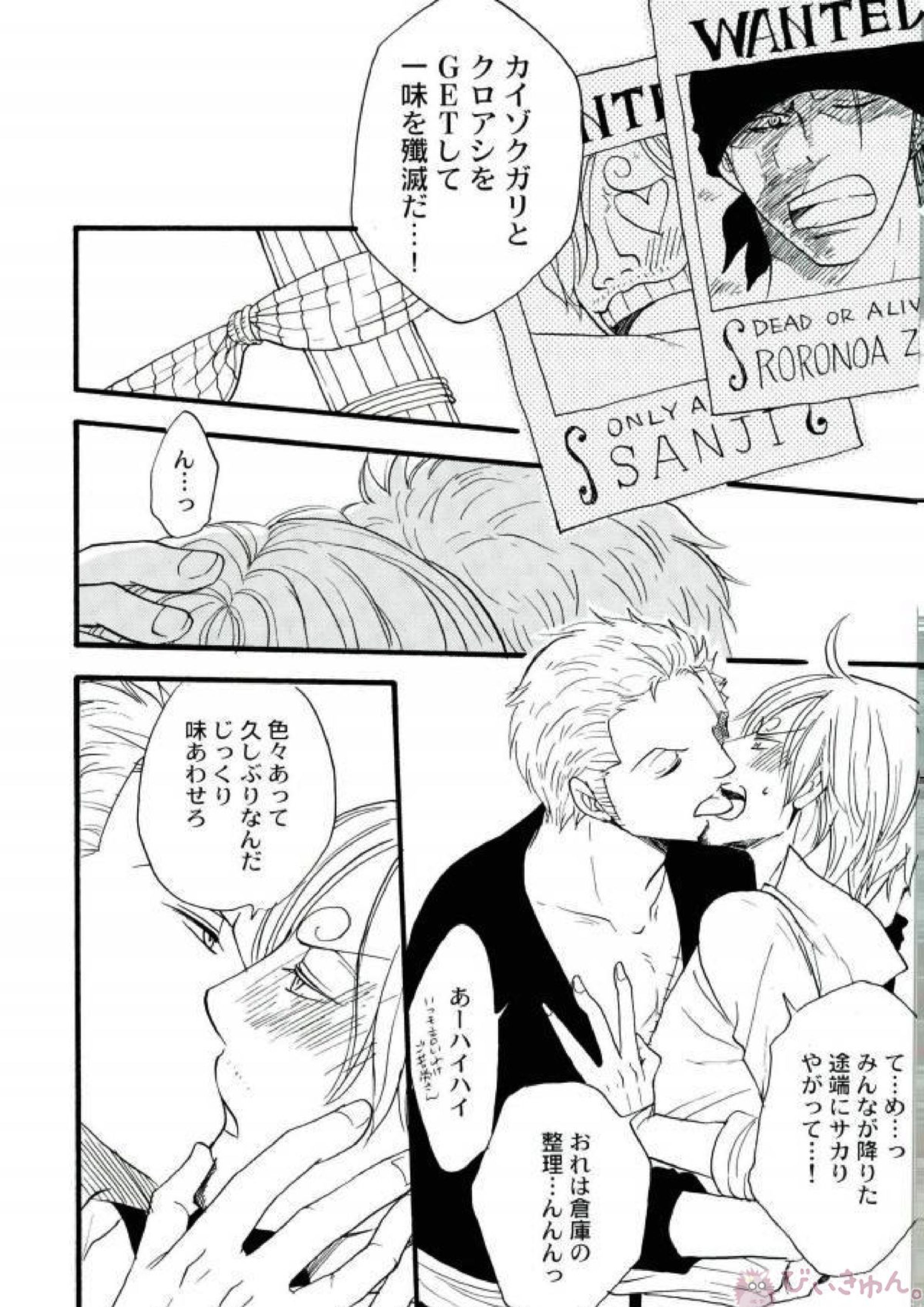ZOROSAN GO 4ページ