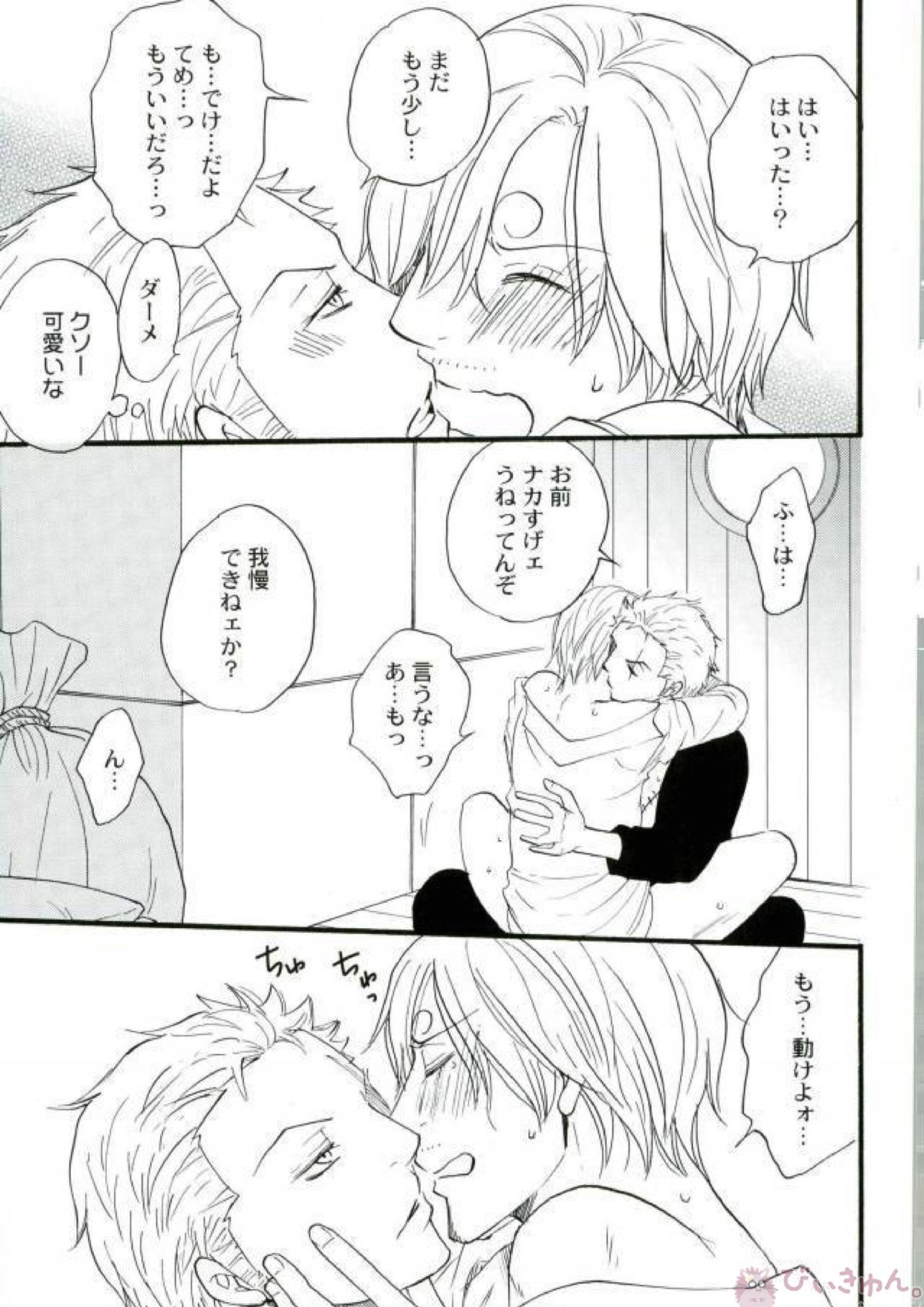 ZOROSAN GO 6ページ