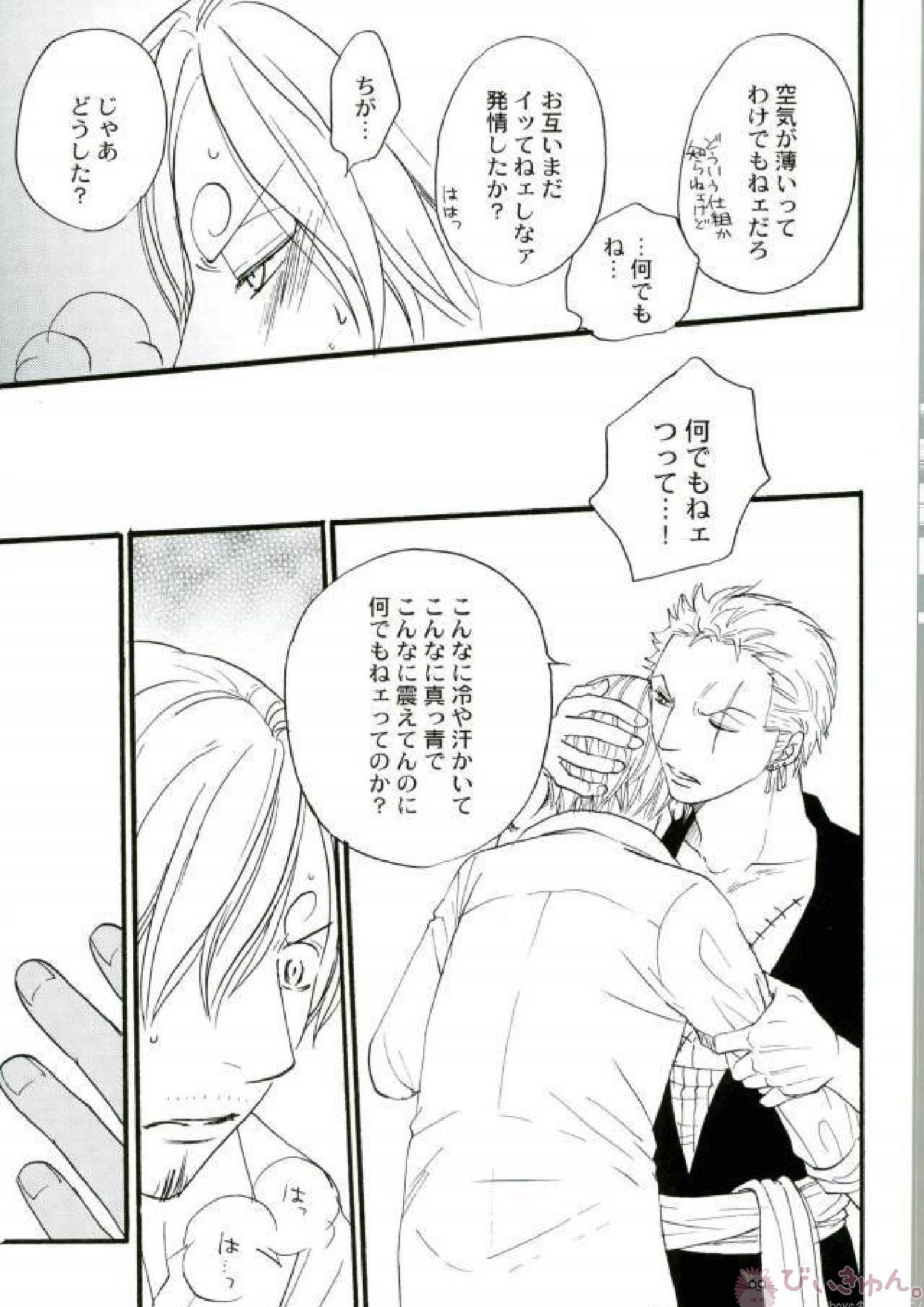 ZOROSAN GO 14ページ