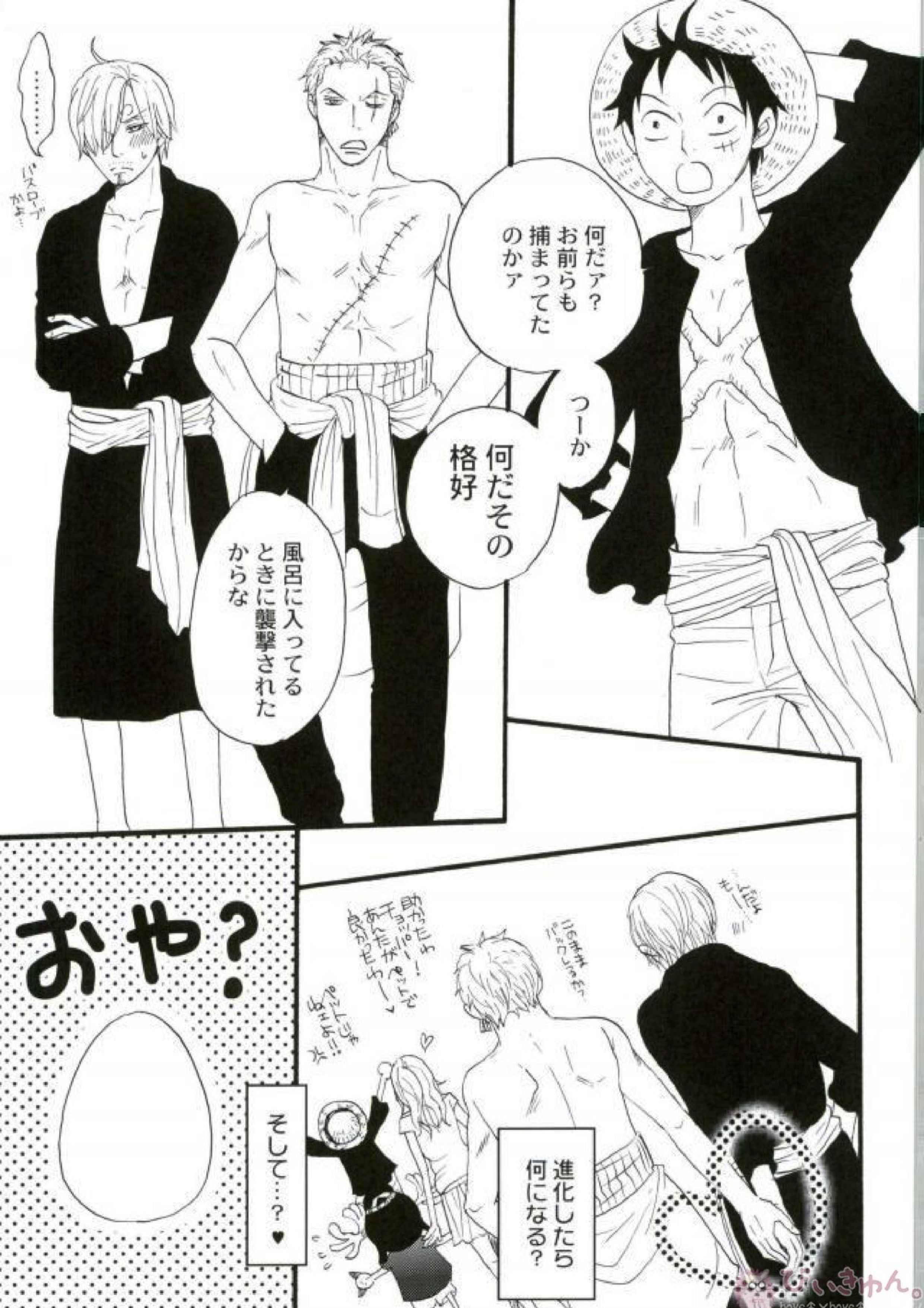 ZOROSAN GO 20ページ