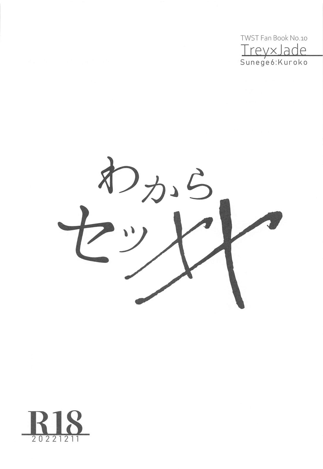 わからセッ×× 3ページ