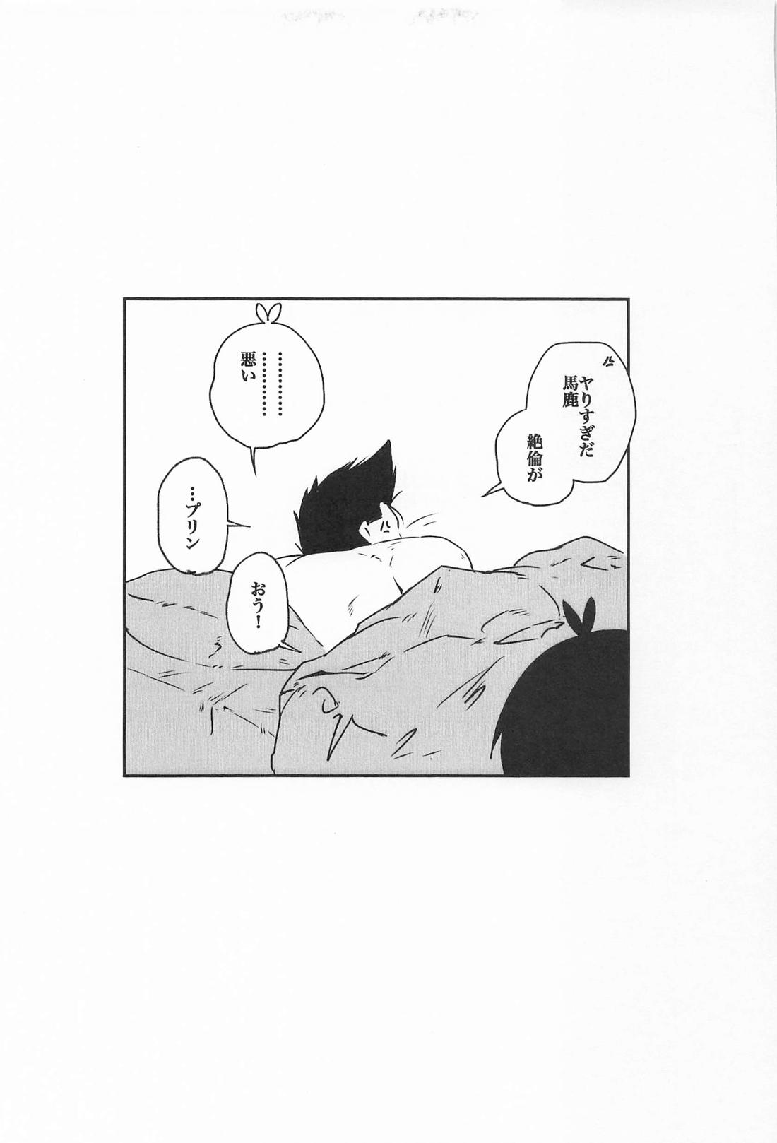 ポリネシアンセックスがシたい本 38ページ