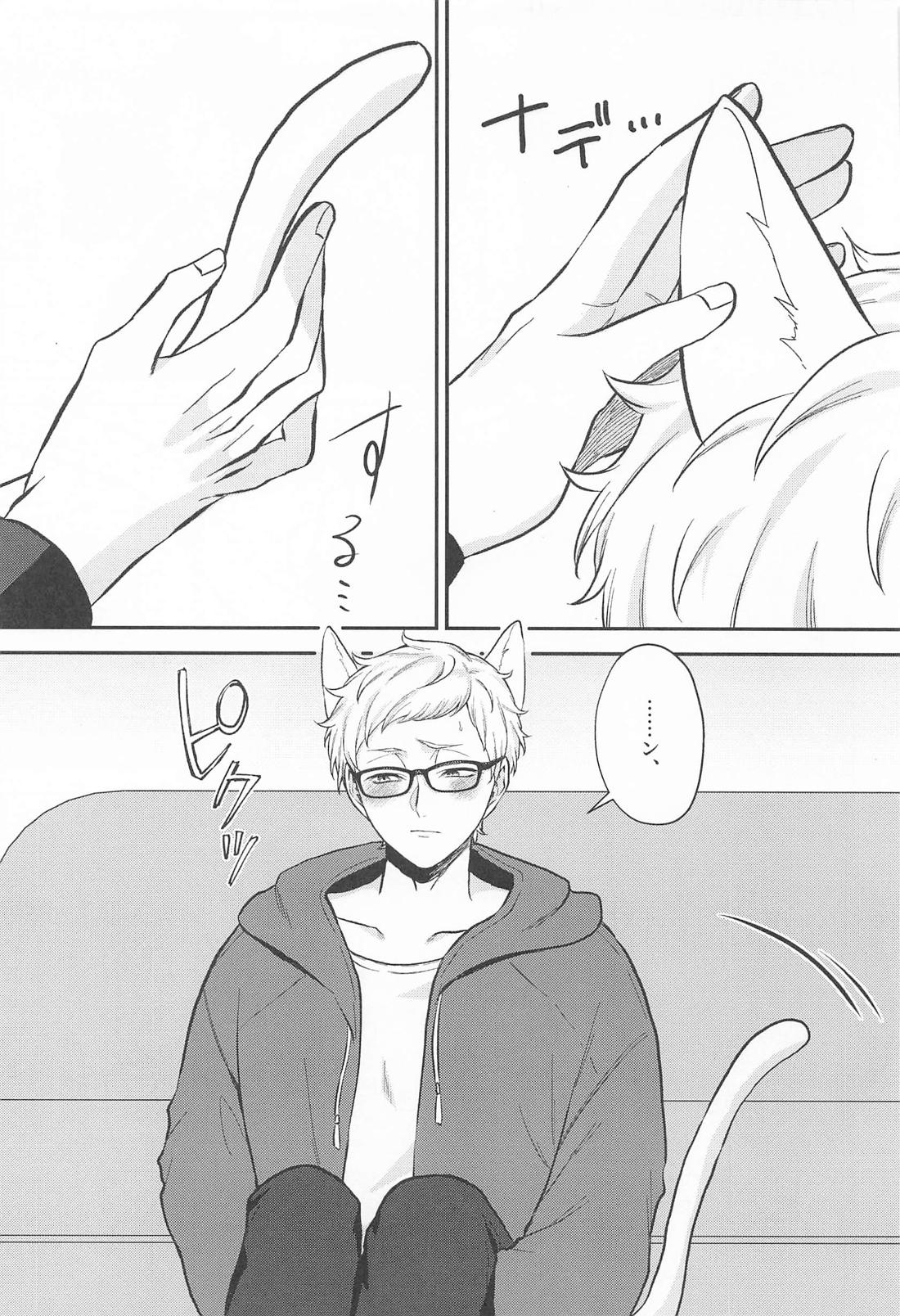 こいびとはかわいいねこちゃん 4ページ