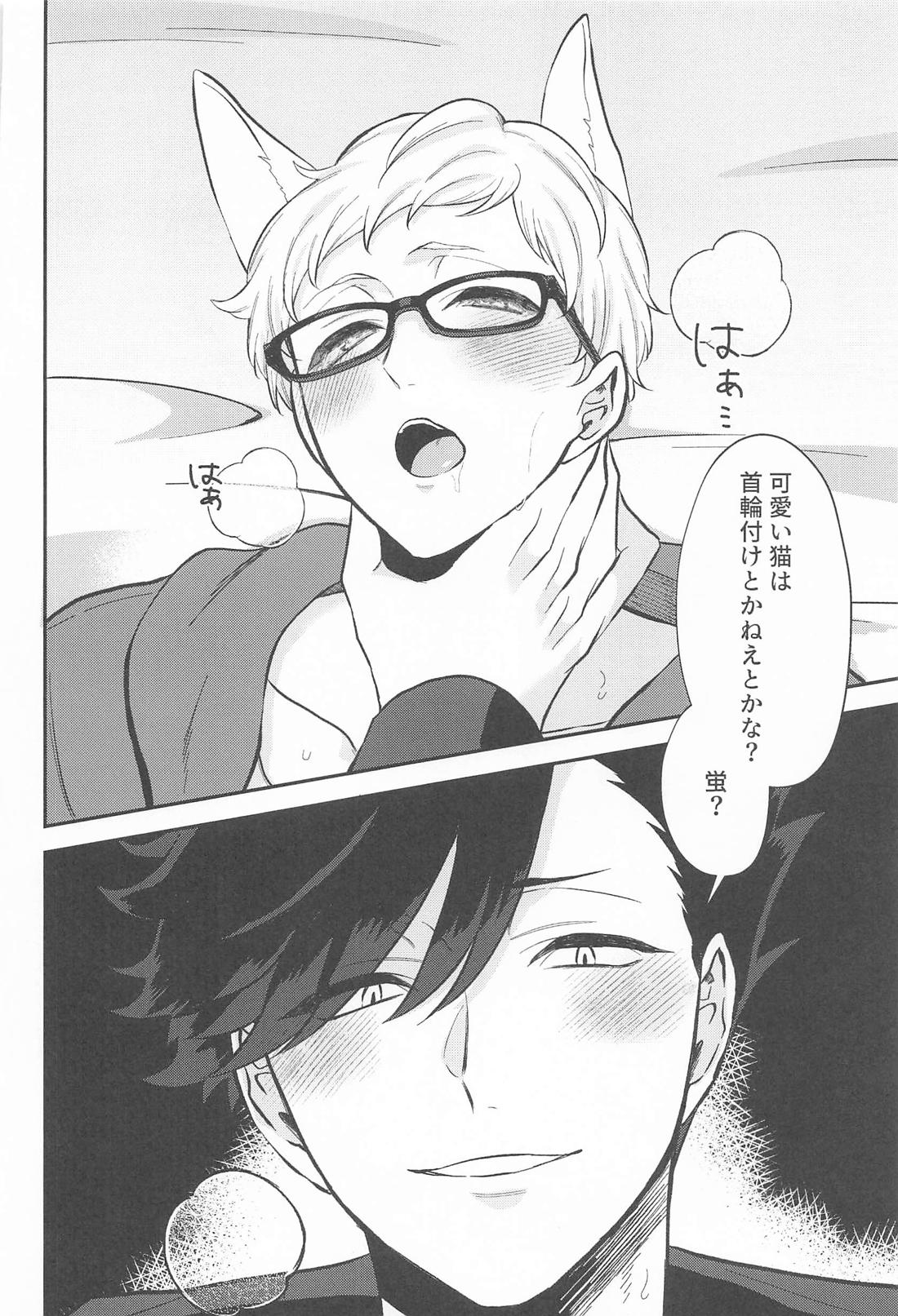 こいびとはかわいいねこちゃん 17ページ