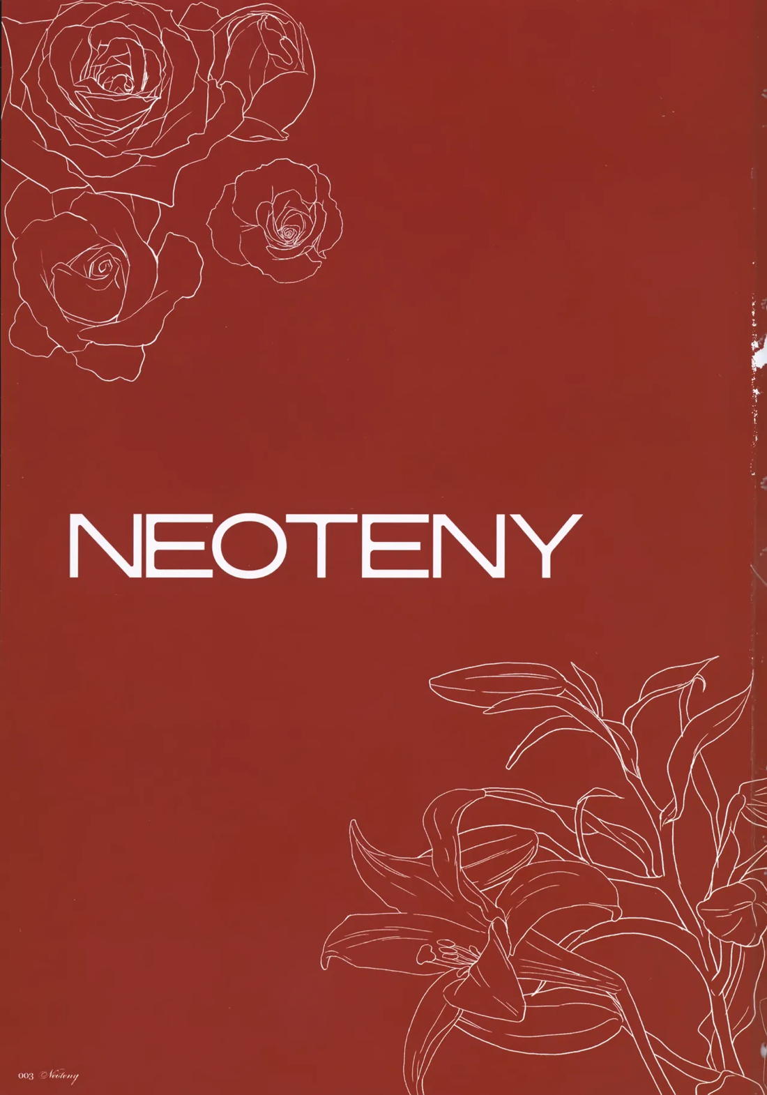NEOTENY 2ページ