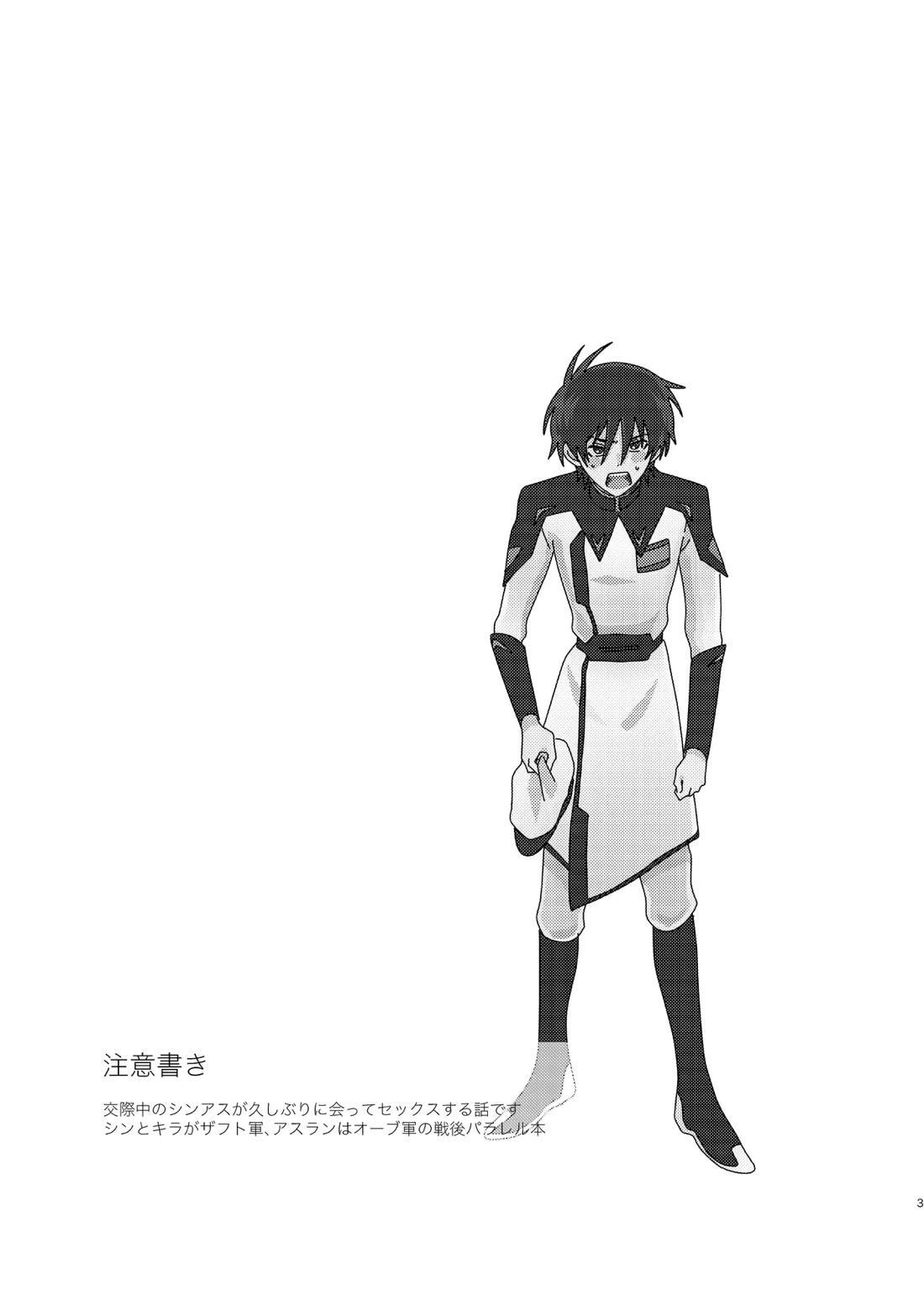 そりゃしたいですよ！ 2ページ