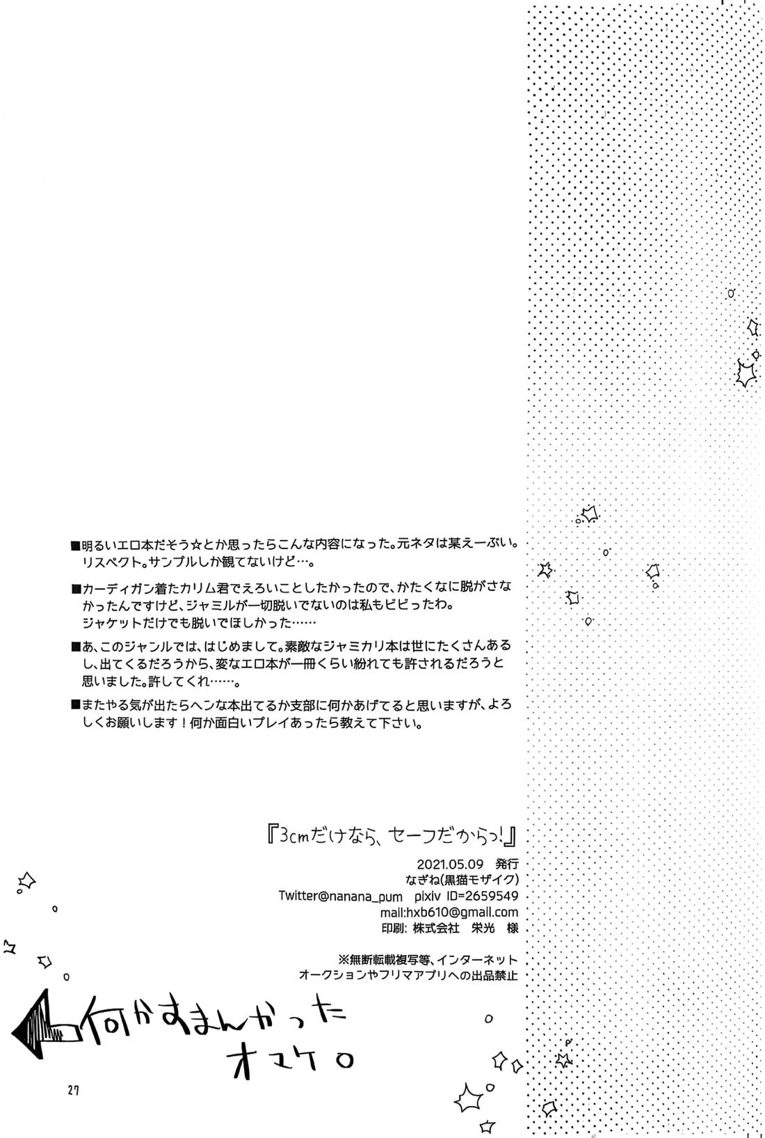 3CMはセーフ！ 25ページ