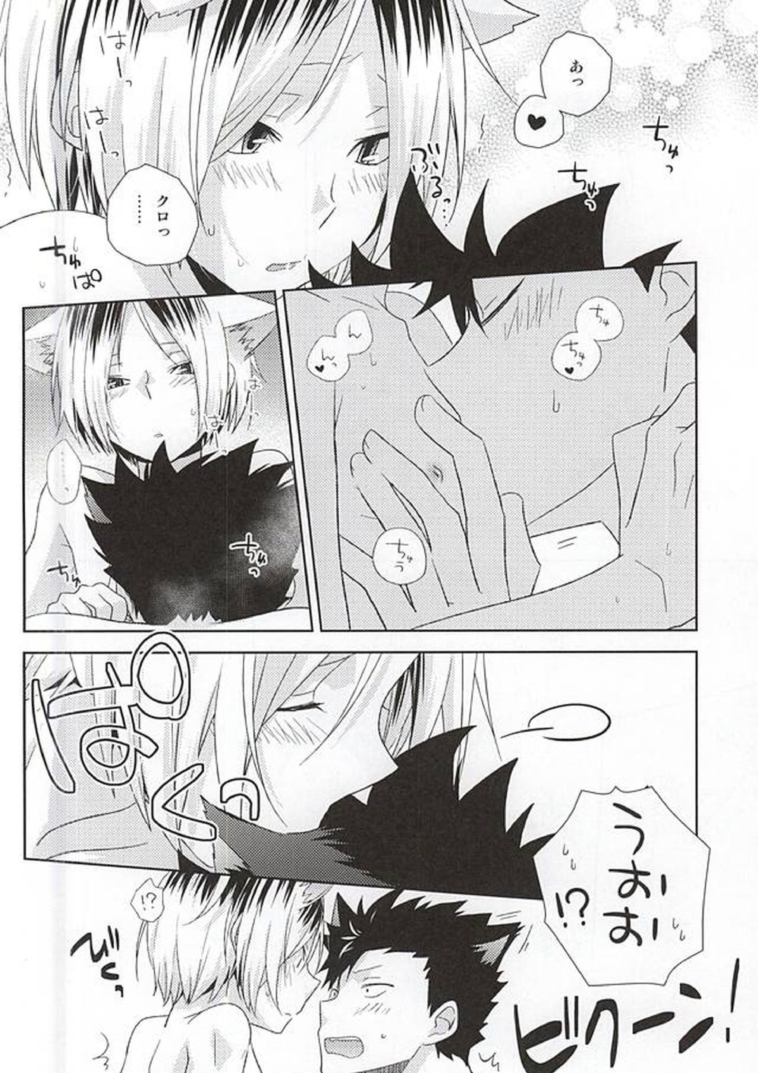 月イチ大感謝毛繕いデー 15ページ