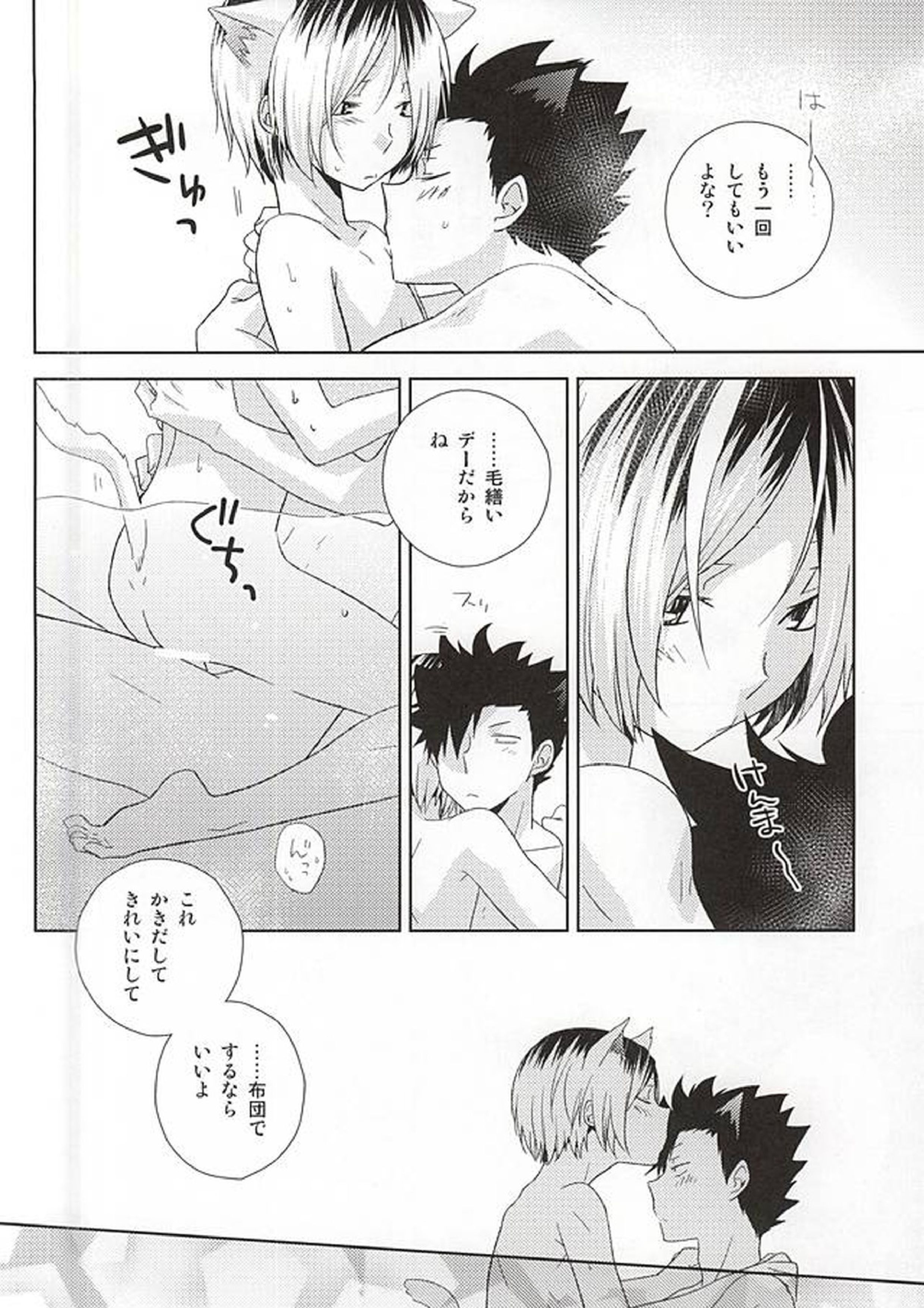 月イチ大感謝毛繕いデー 19ページ