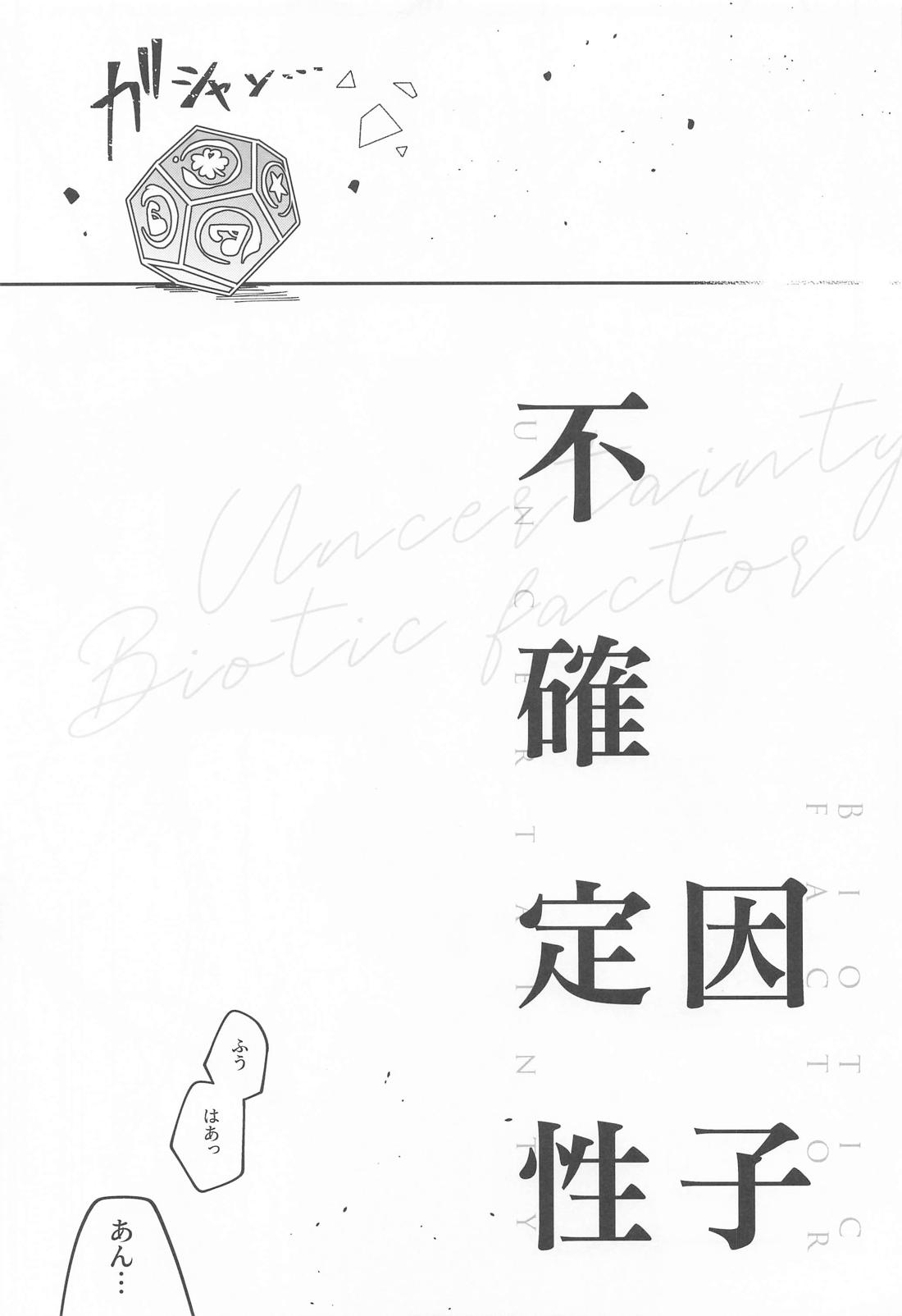 不確定性因子 12ページ