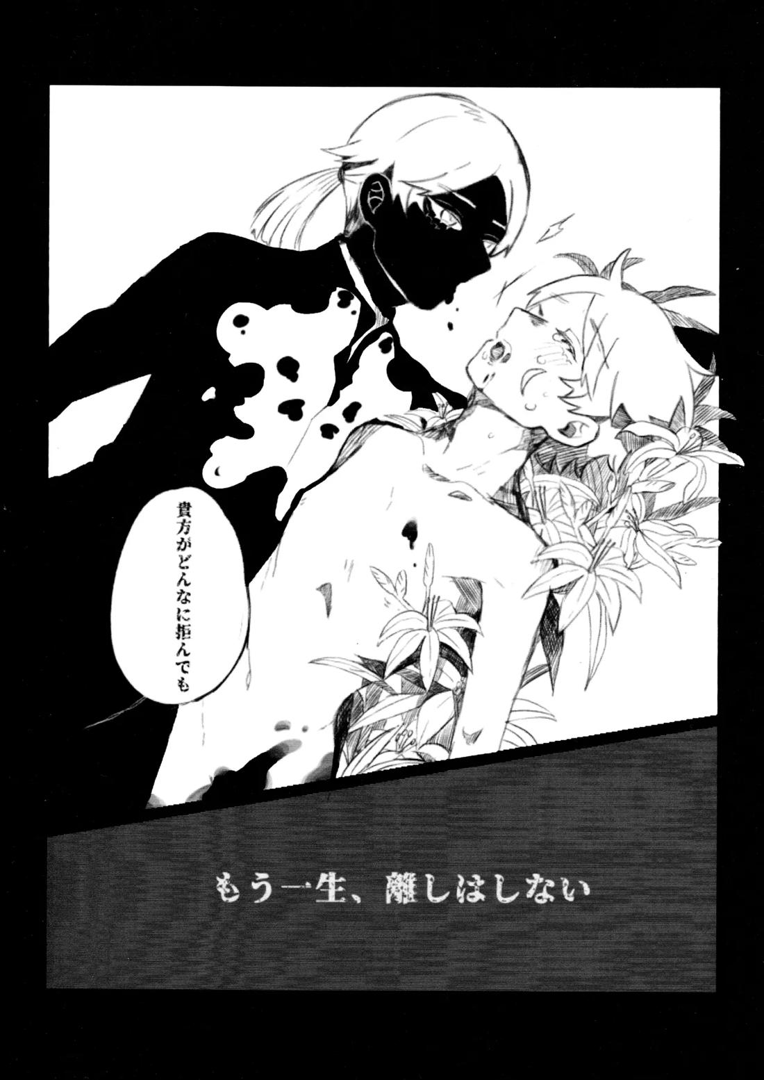 Daylily 14ページ