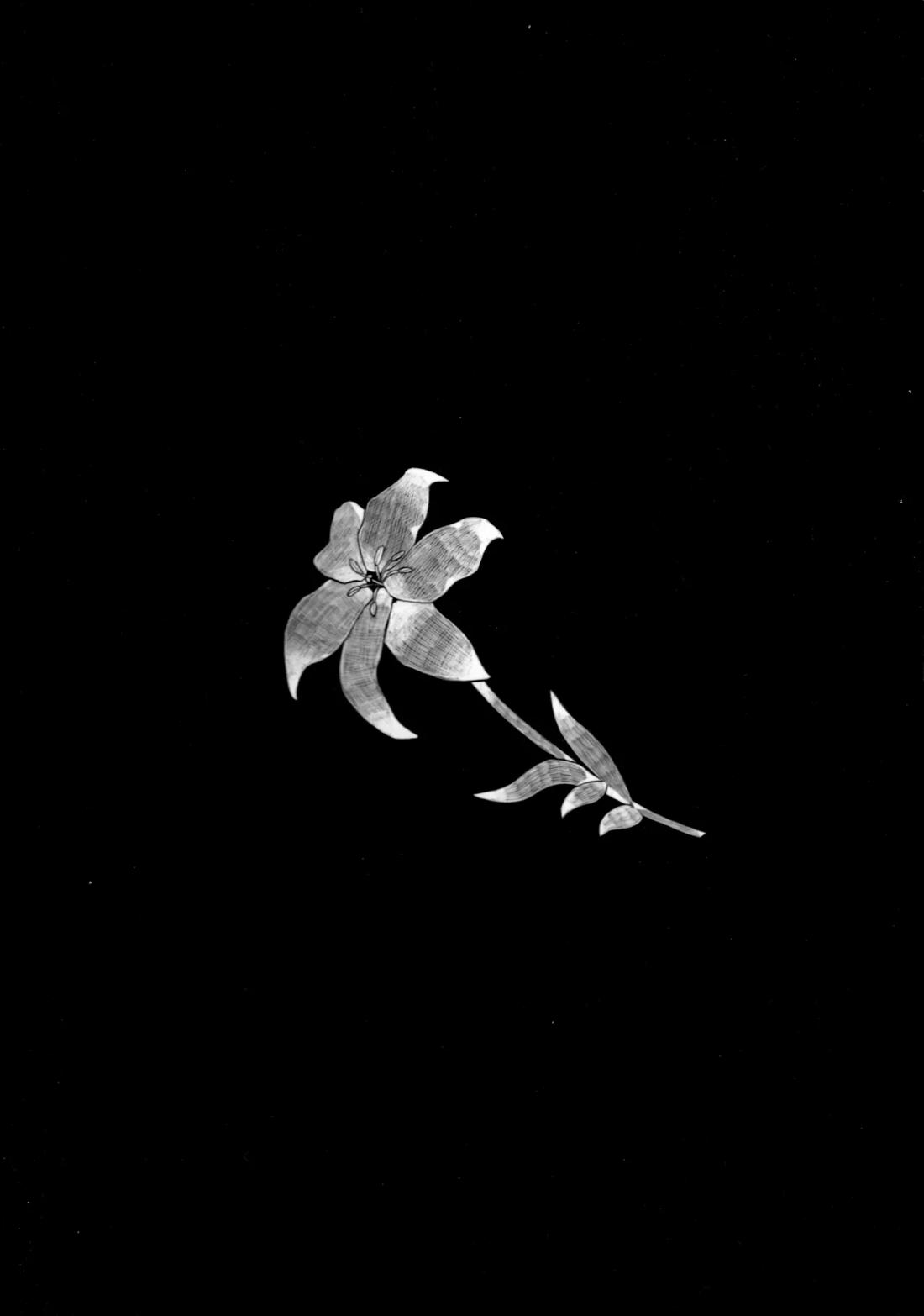 Daylily 19ページ