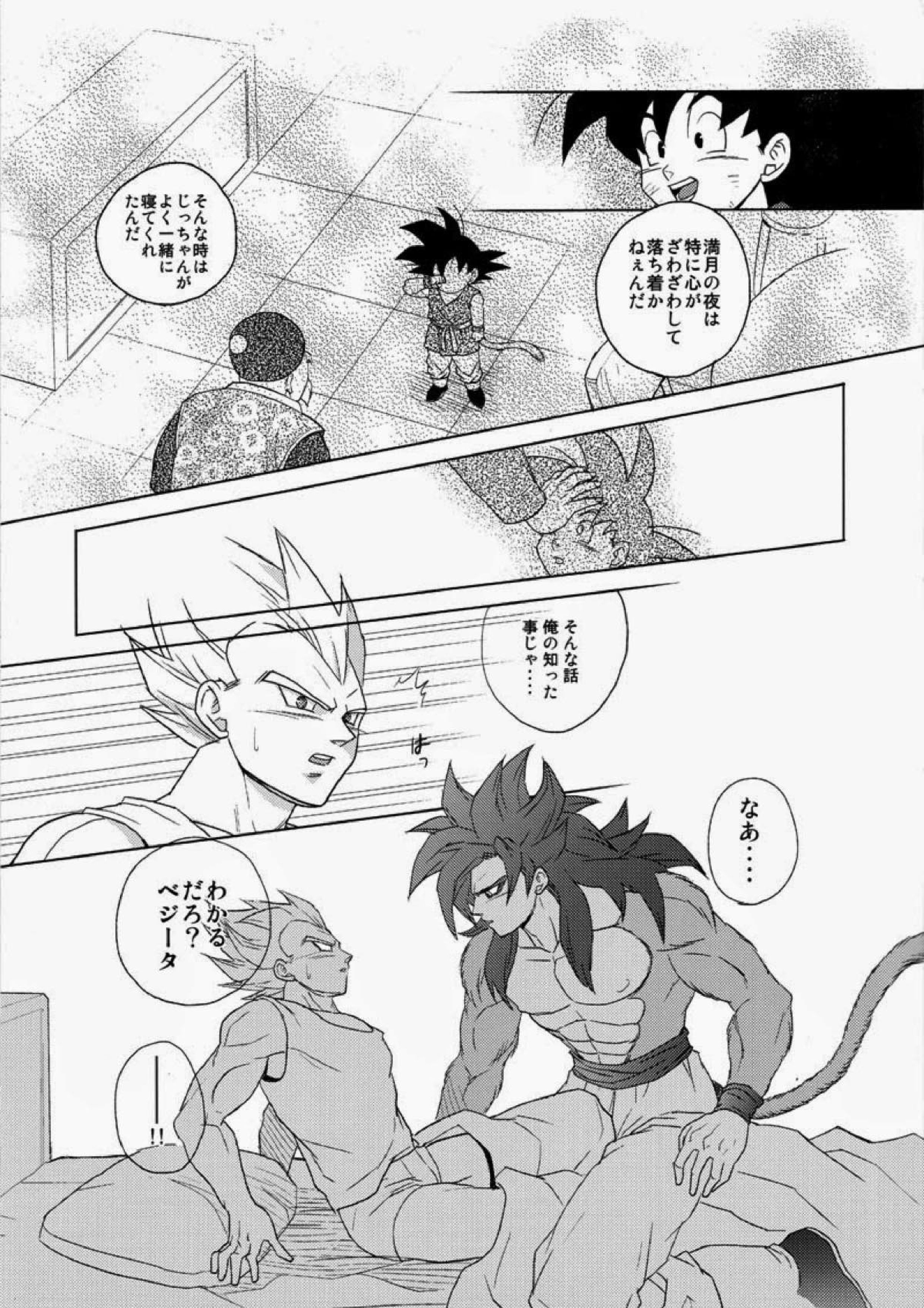 PENETRATION 6ページ