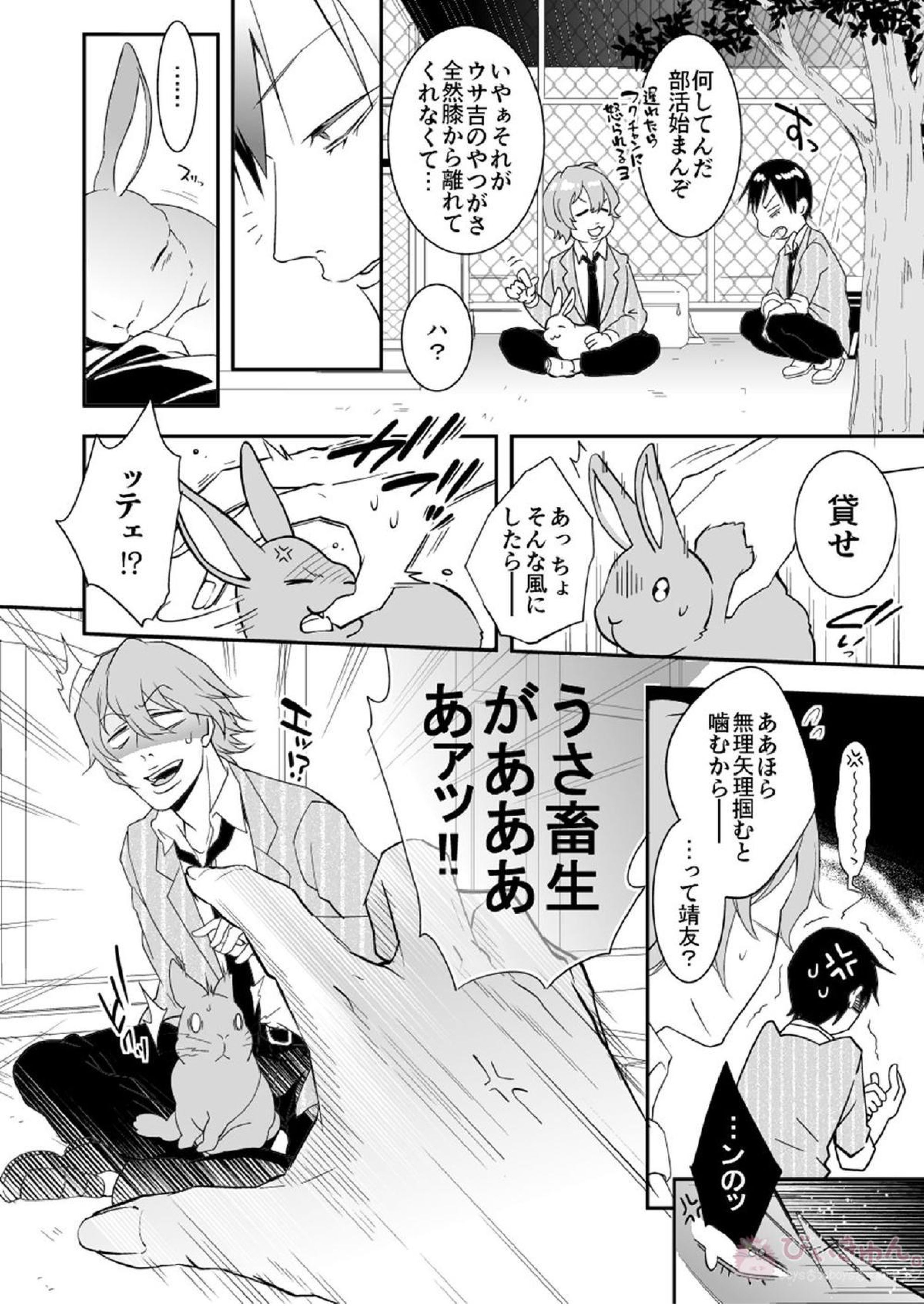Rabbitrip 4ページ