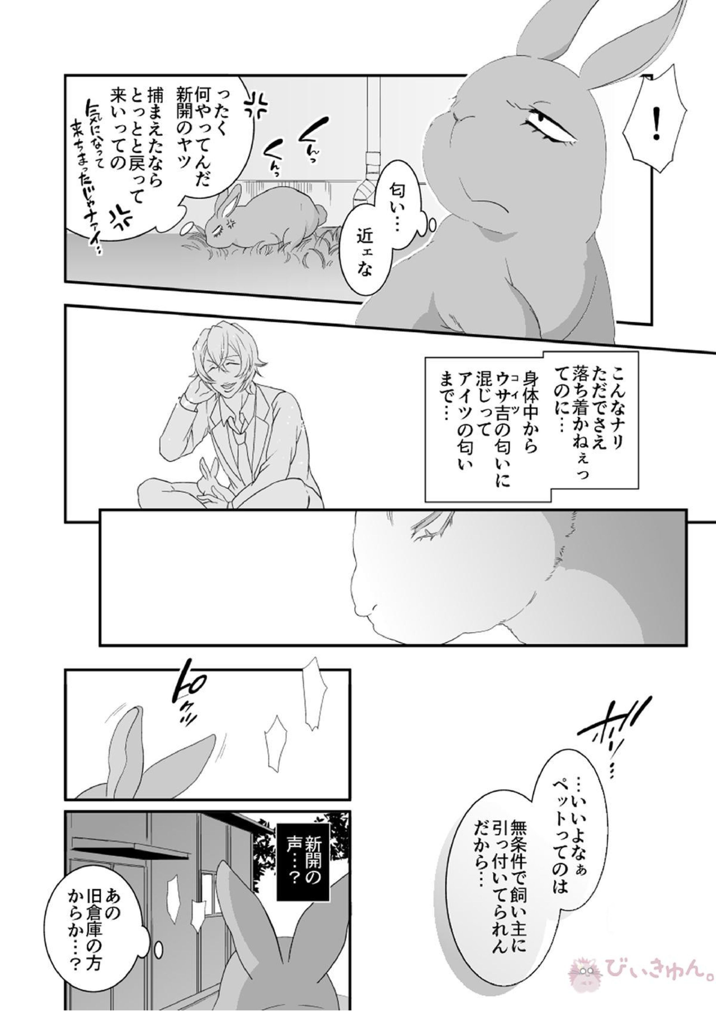 Rabbitrip 16ページ