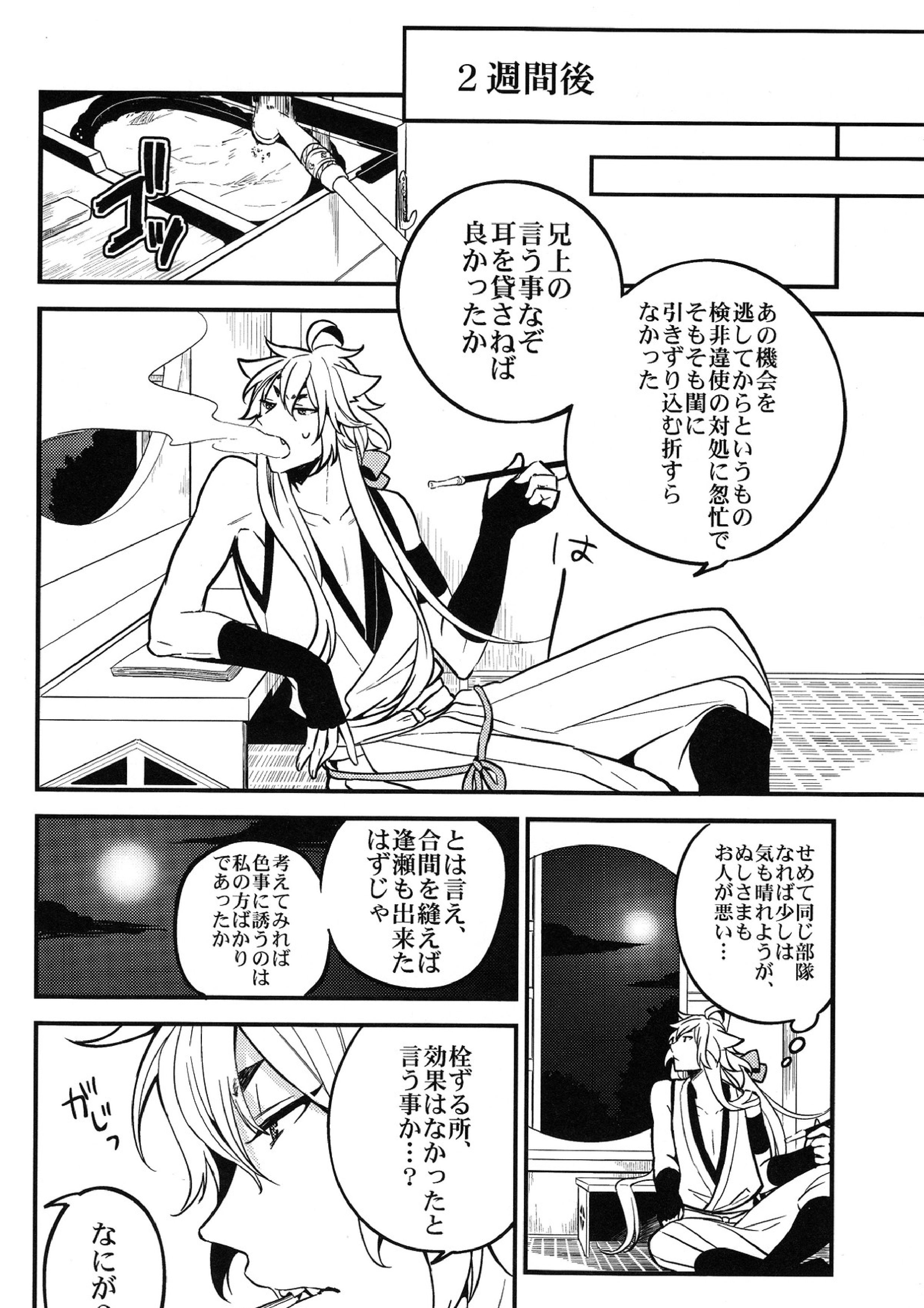梅花空木 17ページ