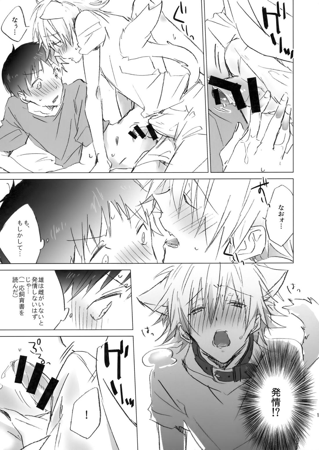 NECOKARE 14ページ