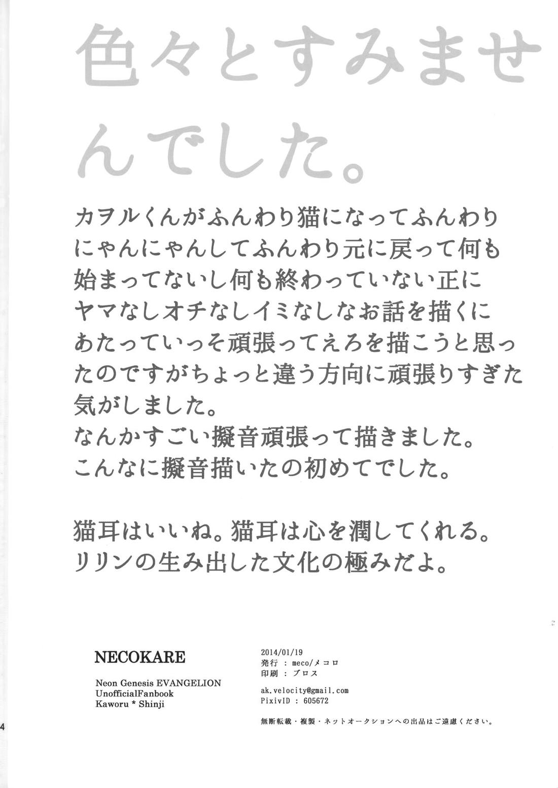 NECOKARE 33ページ