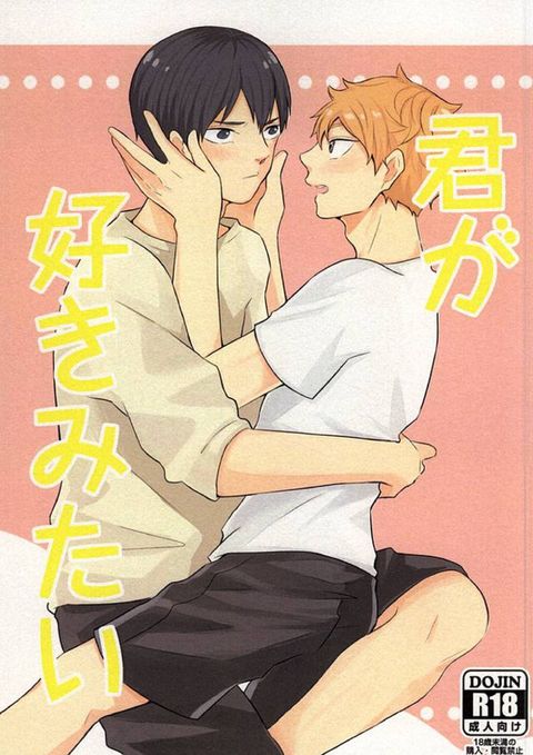 君が好きみたい