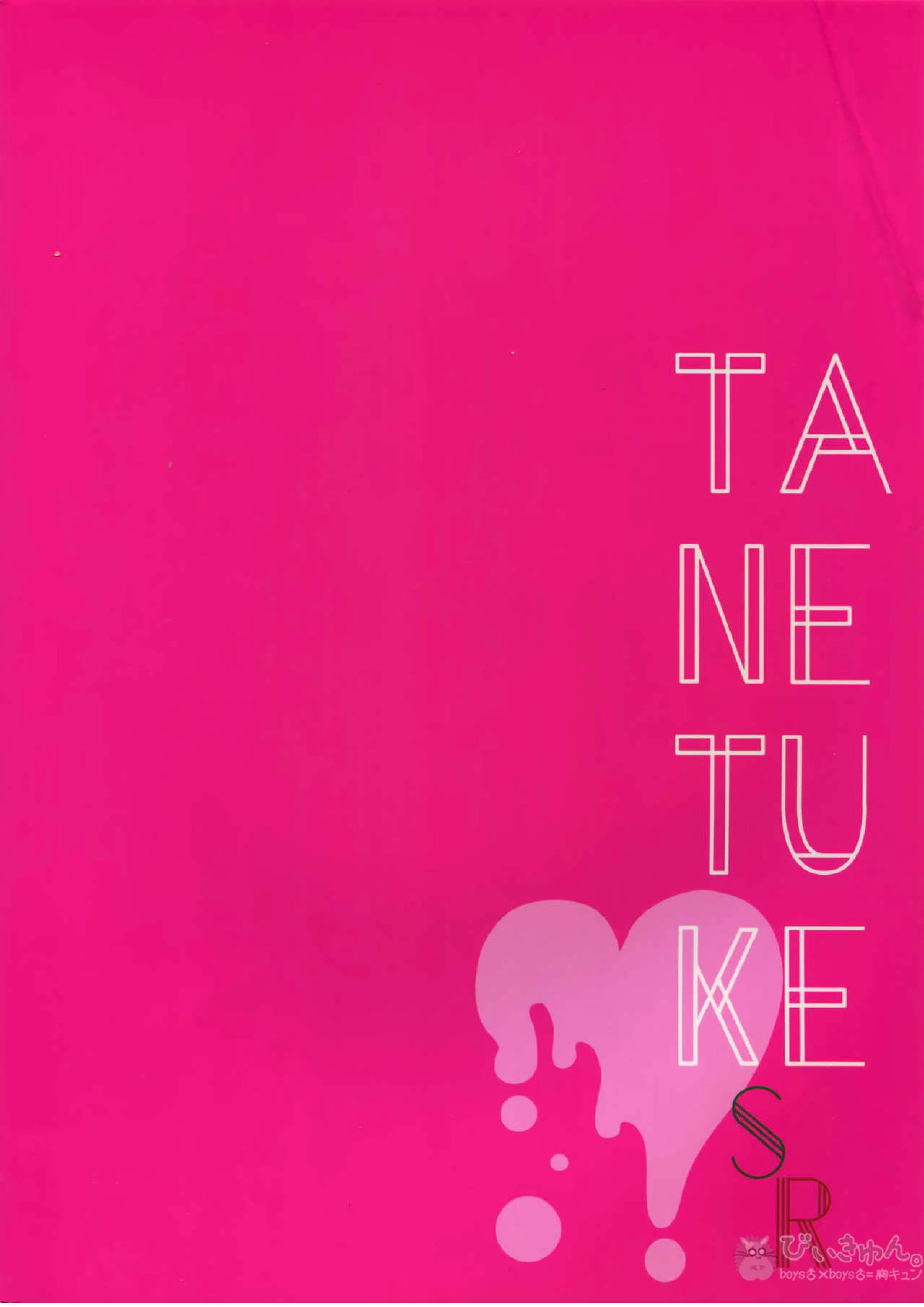 TANETUKE SR 22ページ