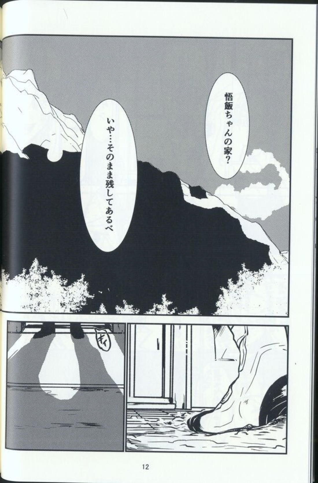 希望と言う名の、 10ページ