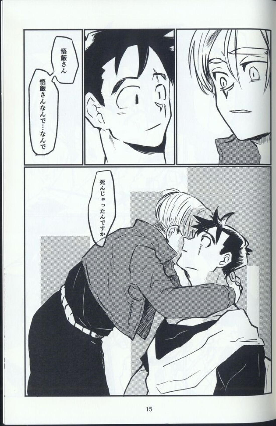 希望と言う名の、 13ページ