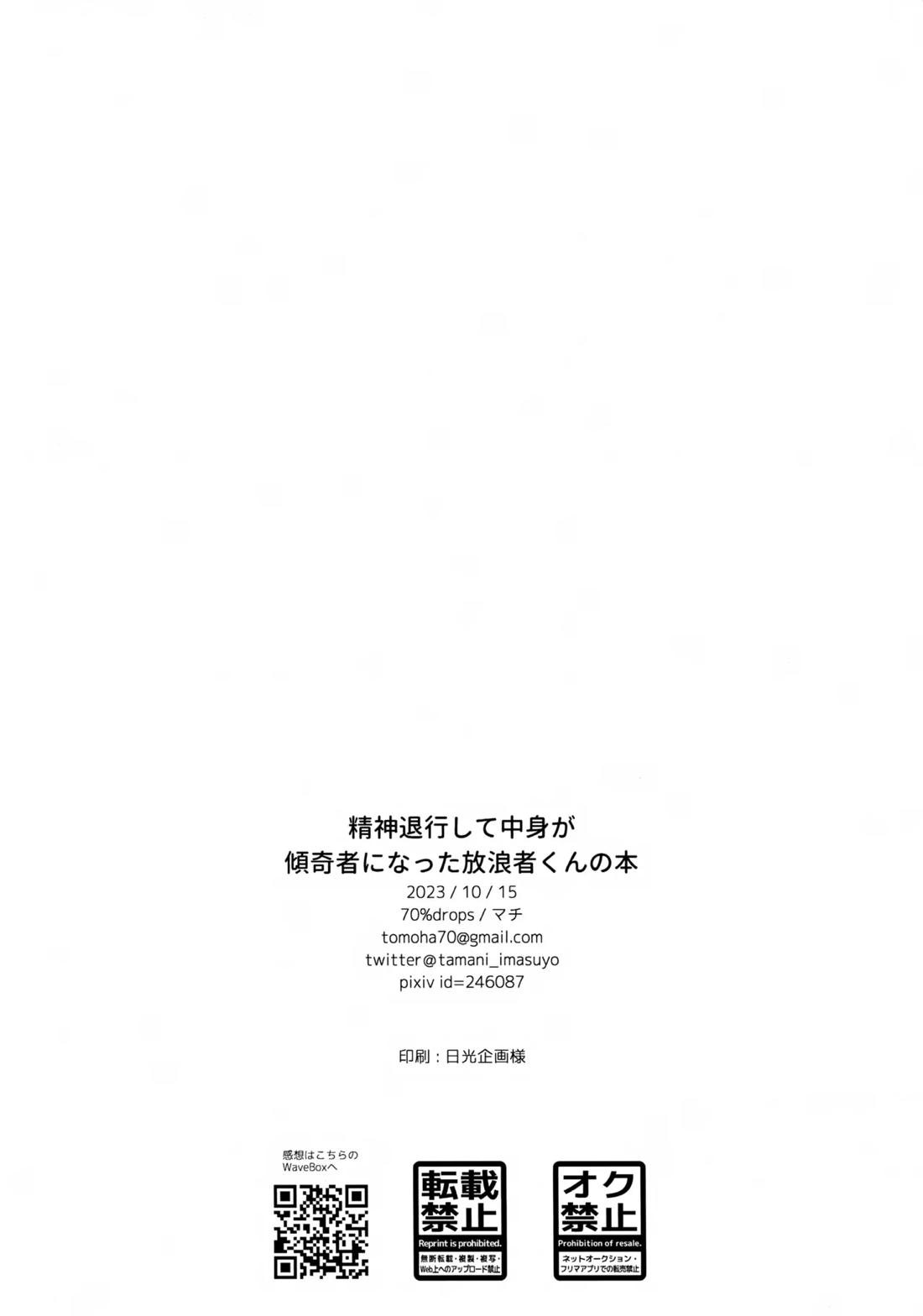 精神退行して中身が傾奇者になった放浪者くんの本 13ページ