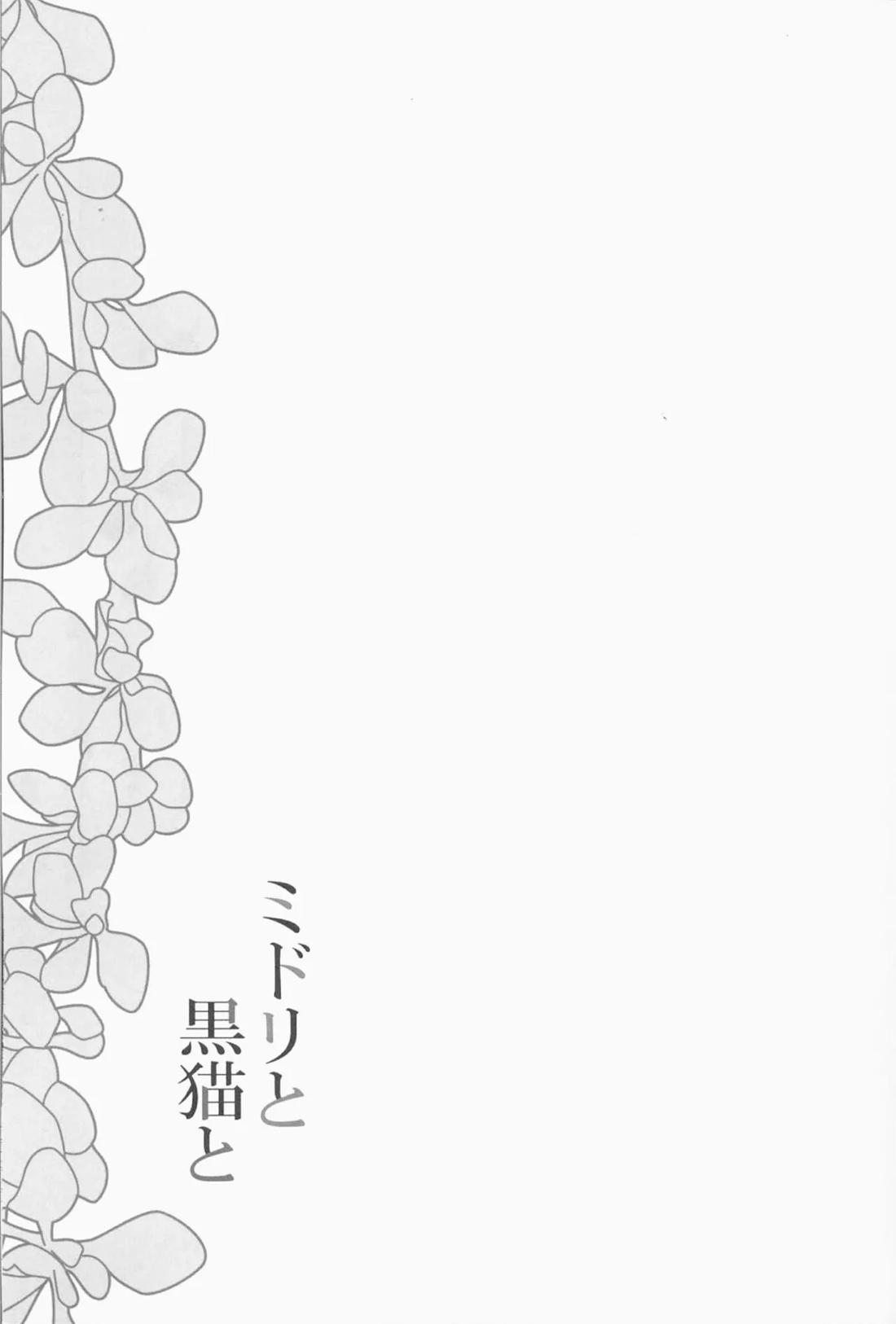 ミドリと黒猫と 2ページ