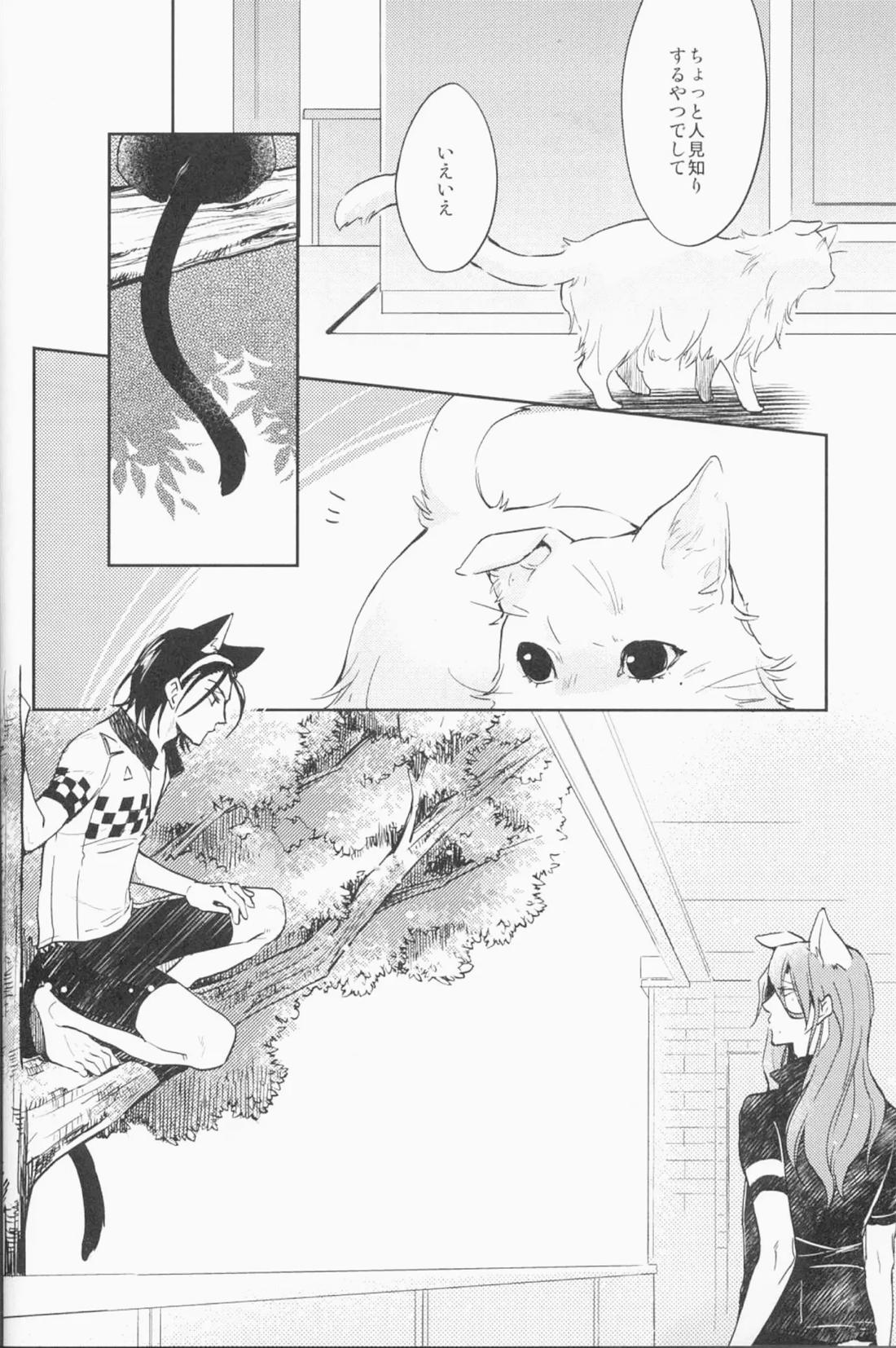 ミドリと黒猫と 5ページ