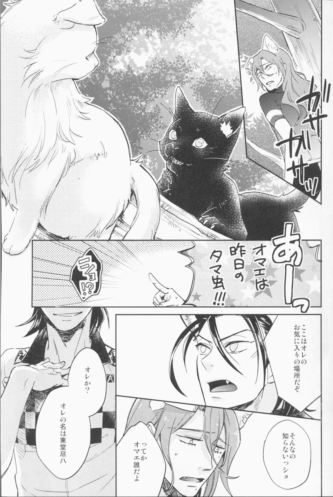 ミドリと黒猫と 10ページ