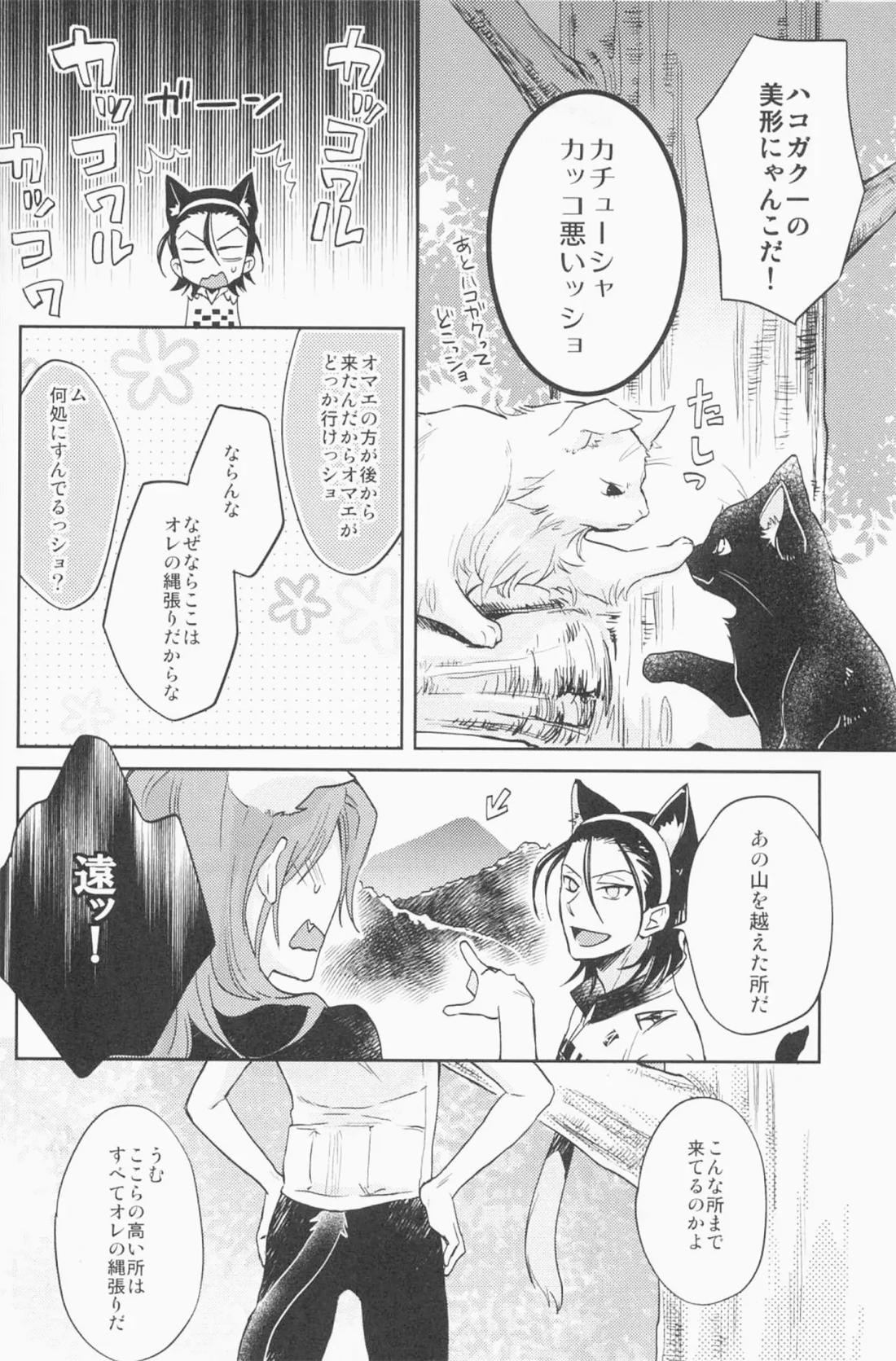 ミドリと黒猫と 11ページ