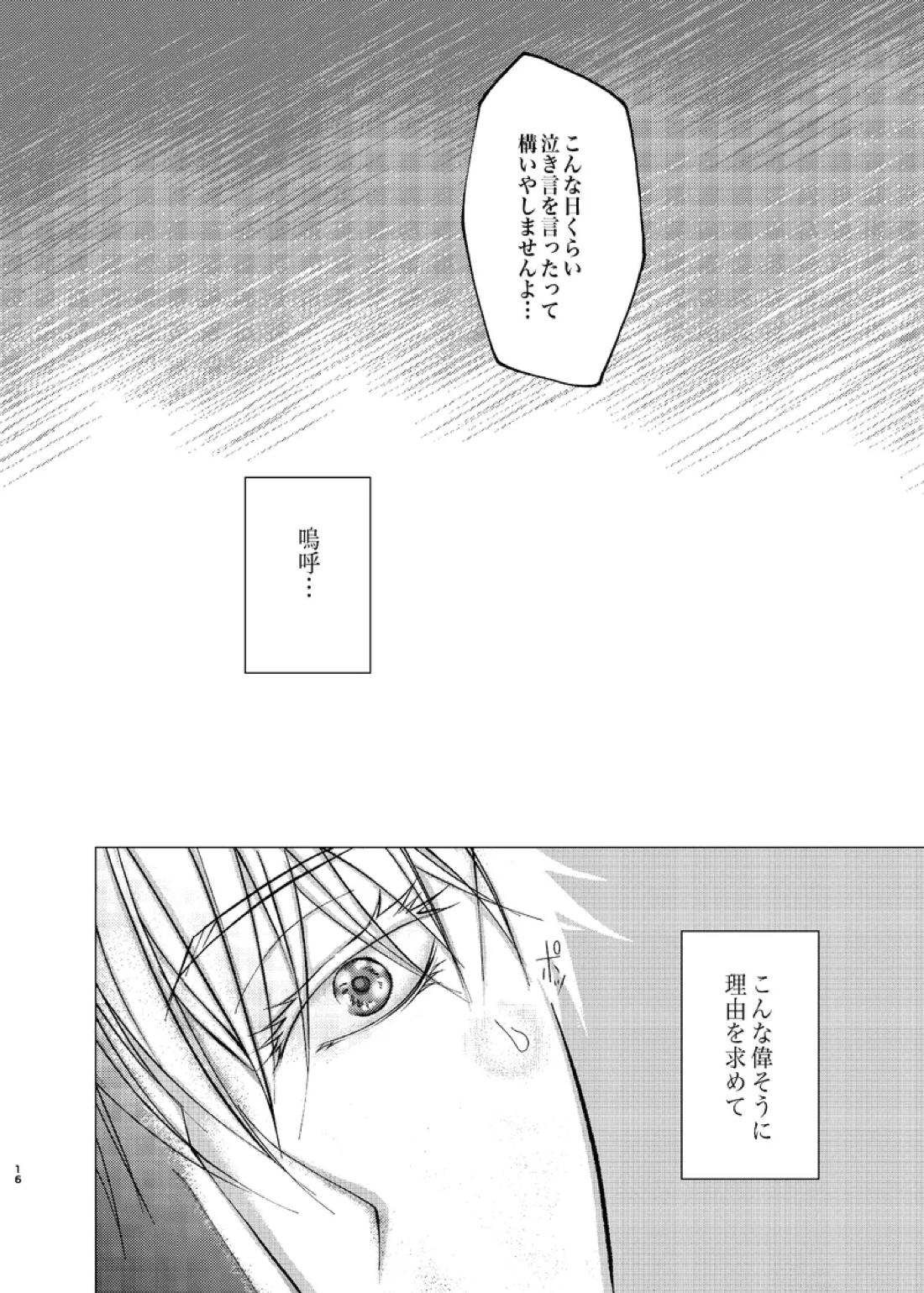 Reason 15ページ