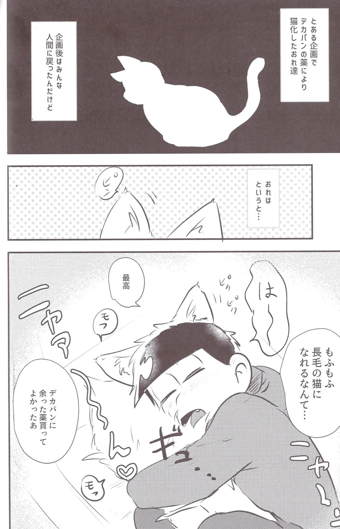 猫ちゃんのとげちんこでたねつけせっくすするはなし 3ページ