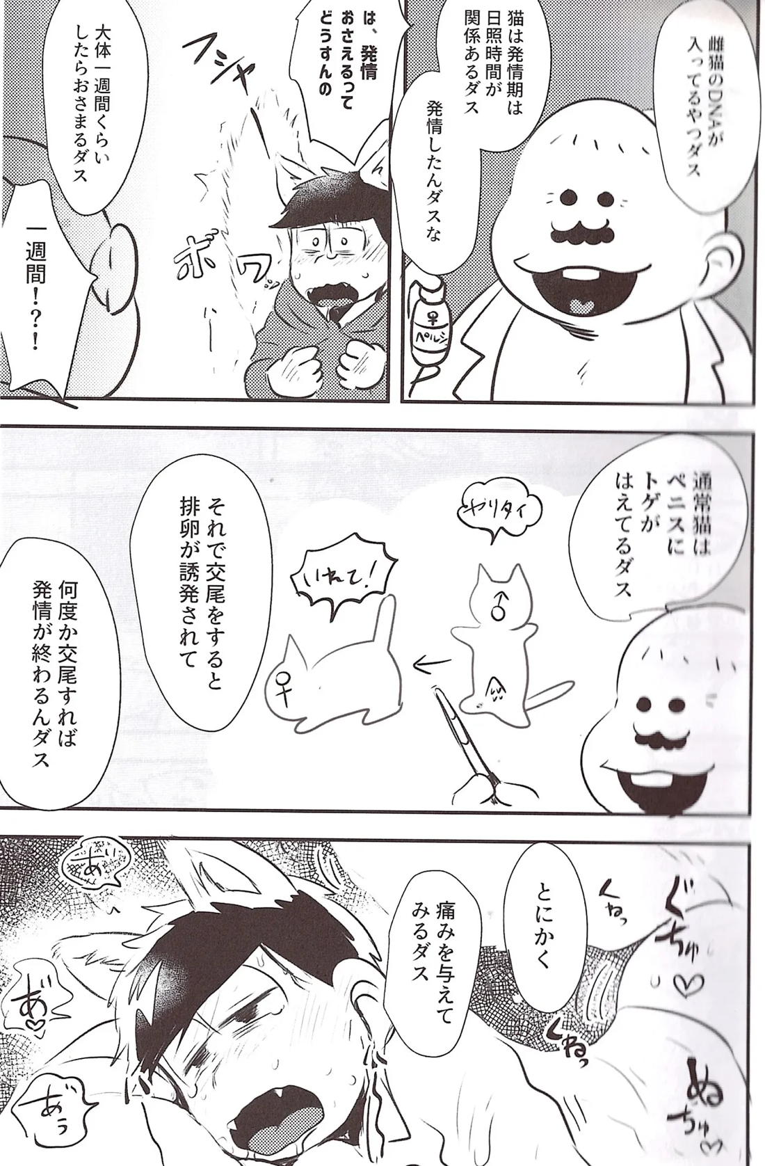 猫ちゃんのとげちんこでたねつけせっくすするはなし 6ページ