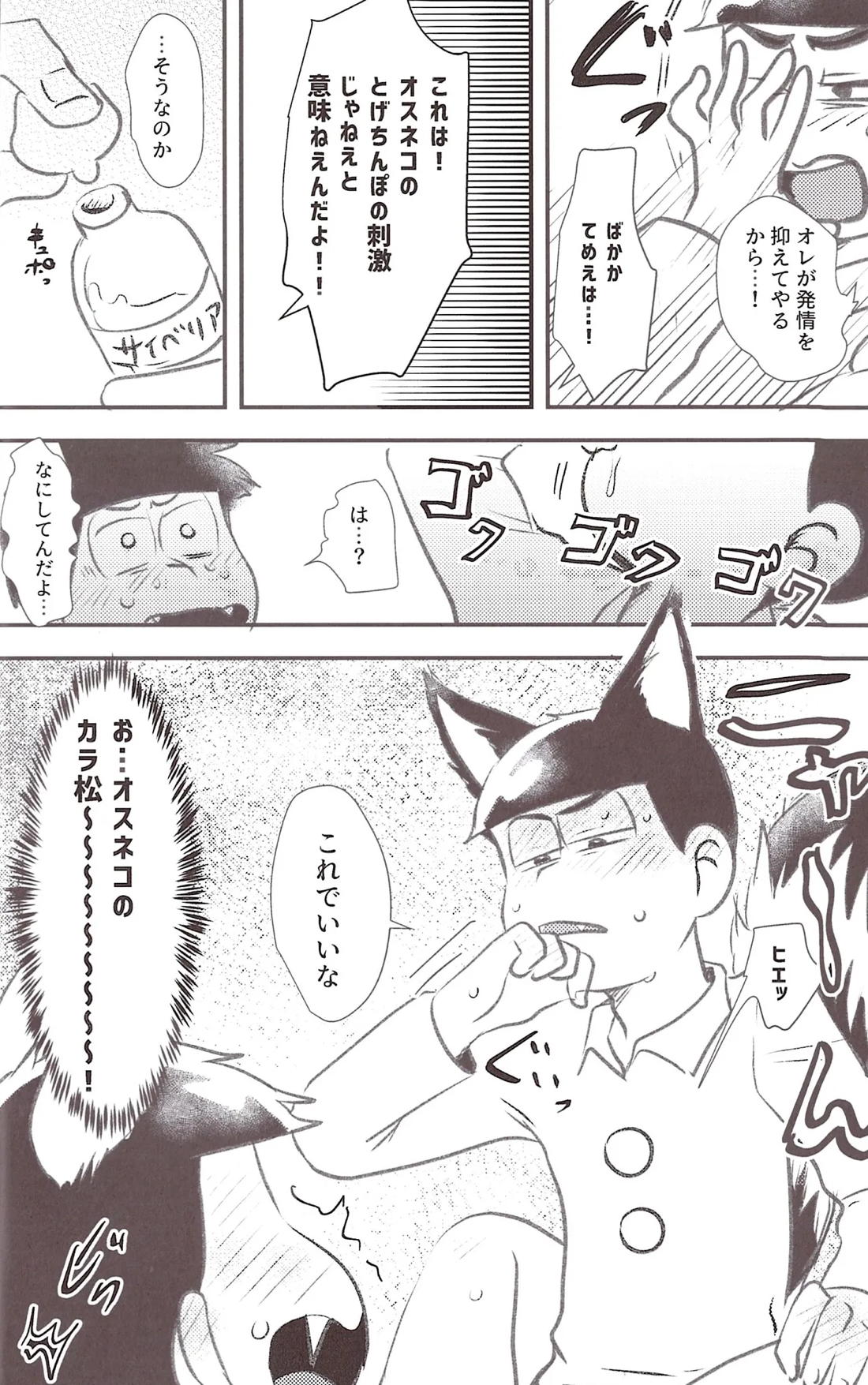 猫ちゃんのとげちんこでたねつけせっくすするはなし 13ページ