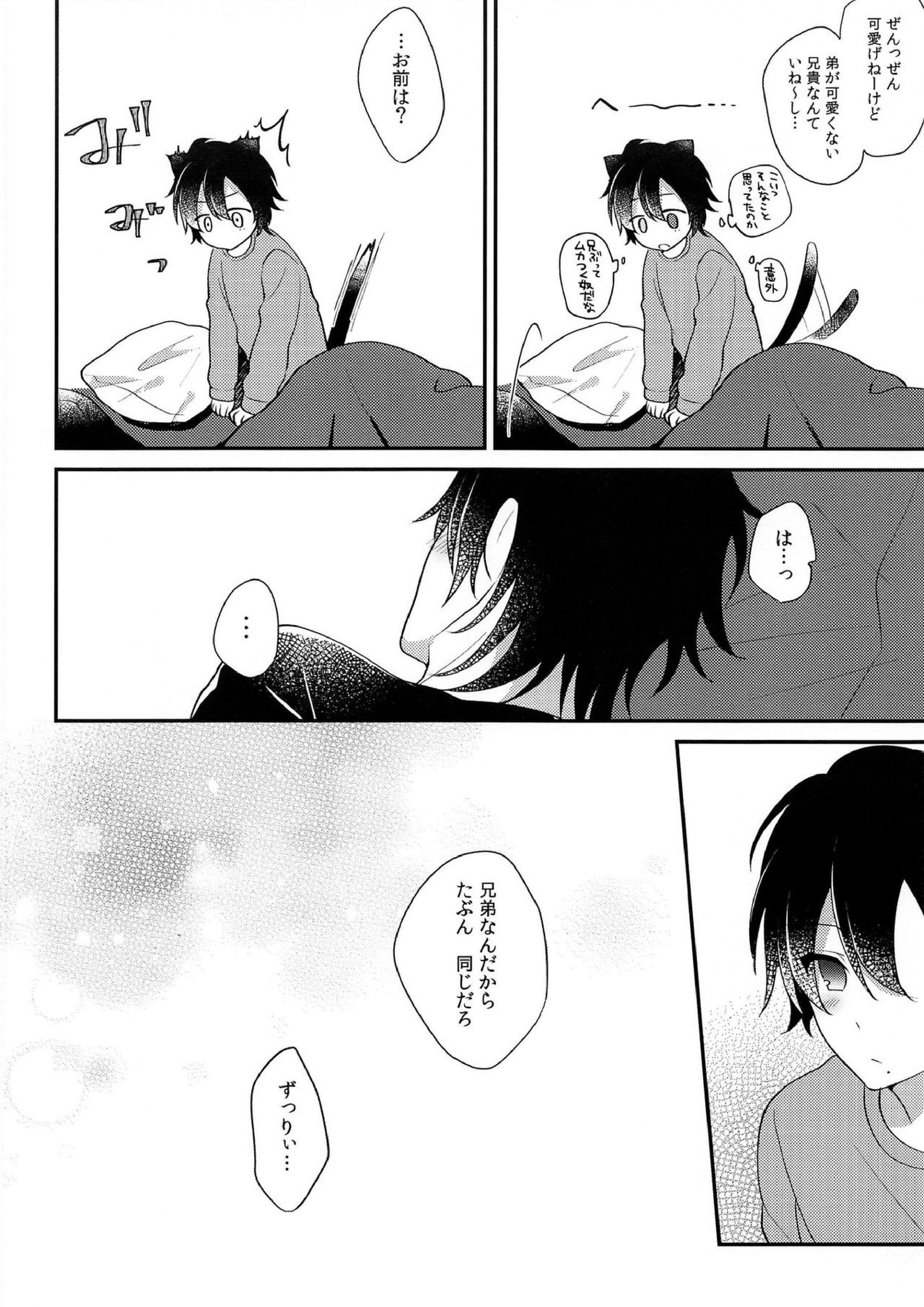 ぼくの愚兄を紹介します 27ページ