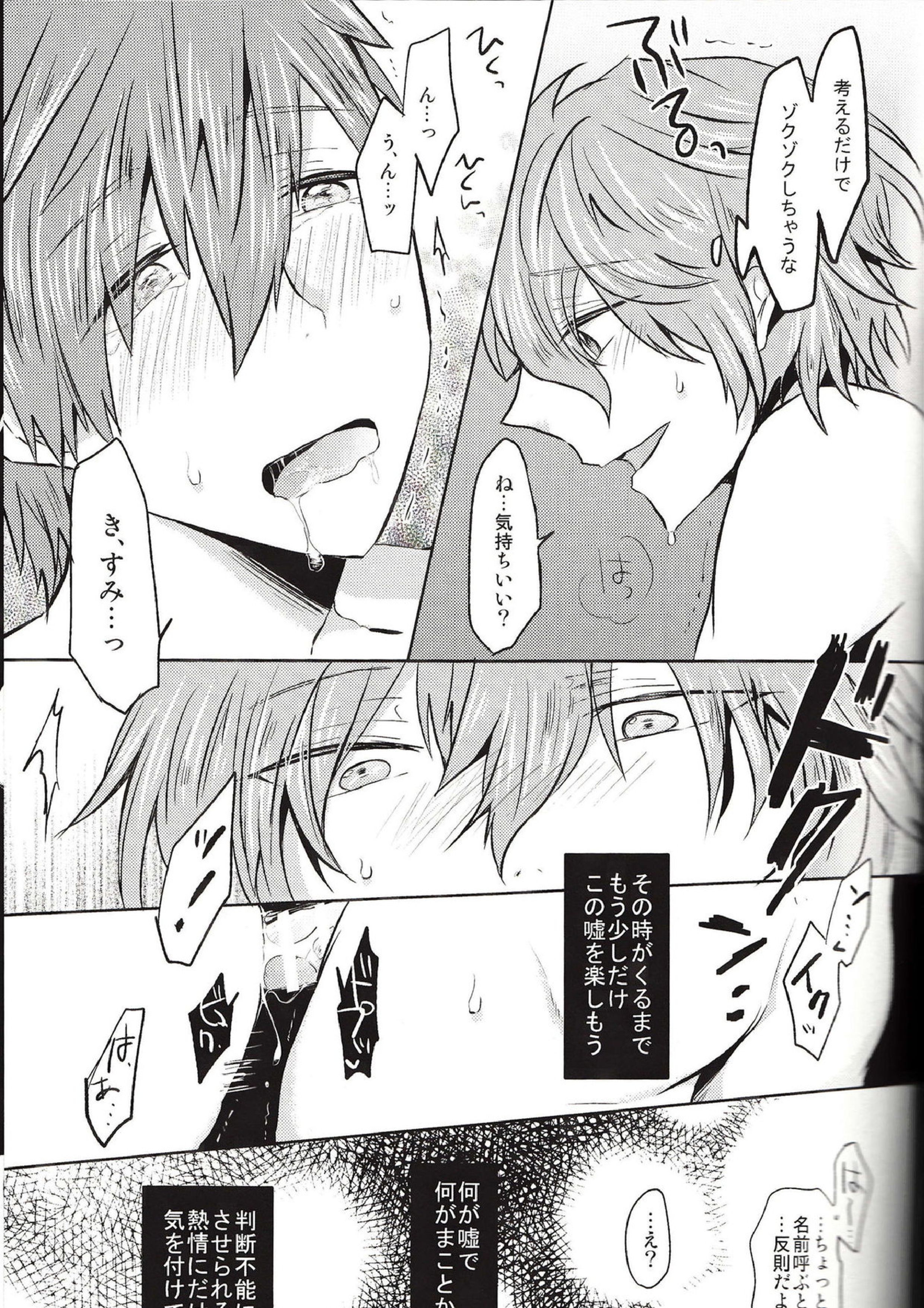 嘘と熱情 14ページ
