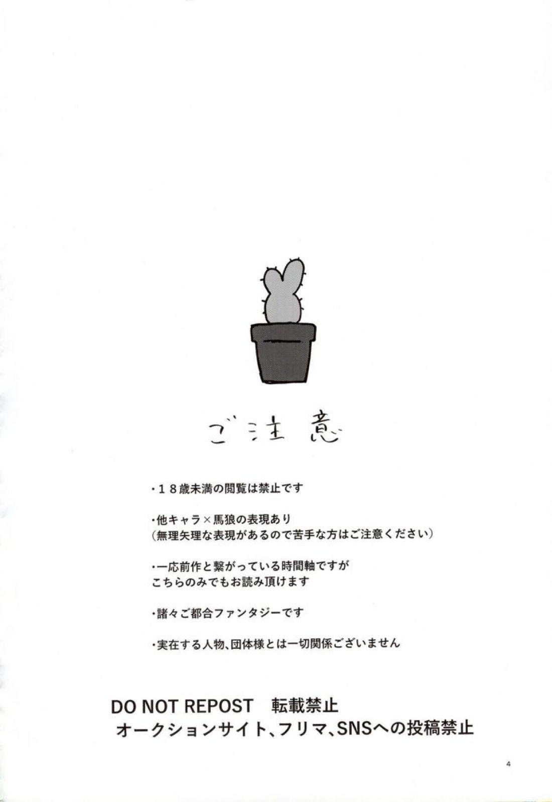 VIVID ADDITIVE MIXTURE 3ページ