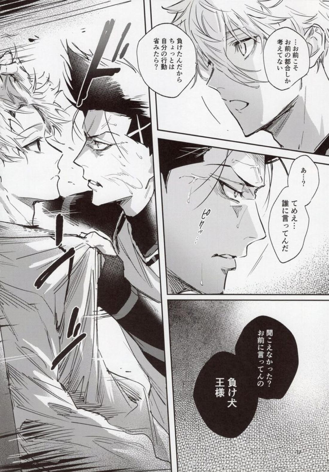 VIVID ADDITIVE MIXTURE 11ページ