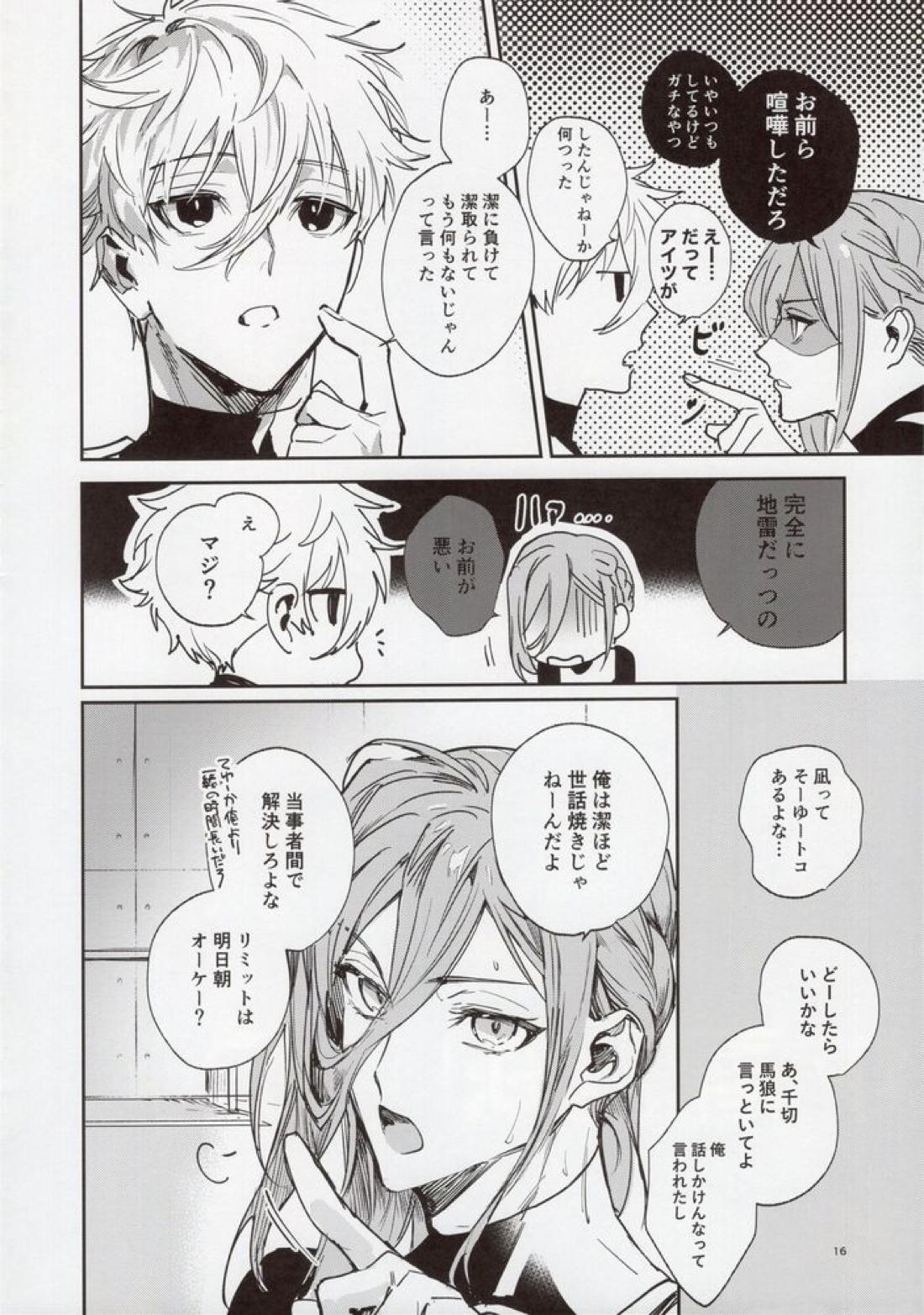 VIVID ADDITIVE MIXTURE 15ページ