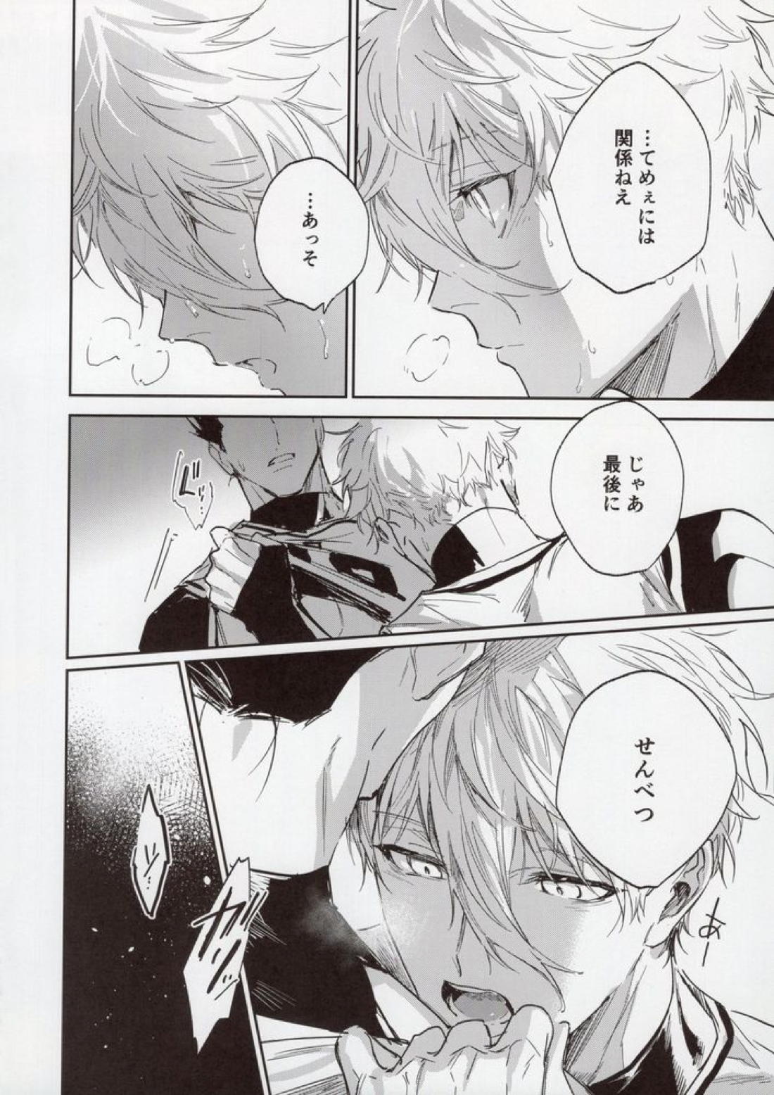 VIVID ADDITIVE MIXTURE 27ページ