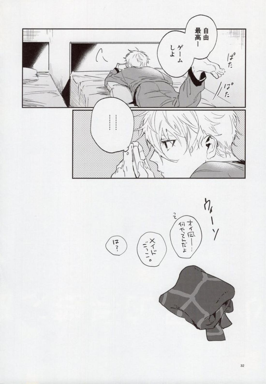 VIVID ADDITIVE MIXTURE 31ページ