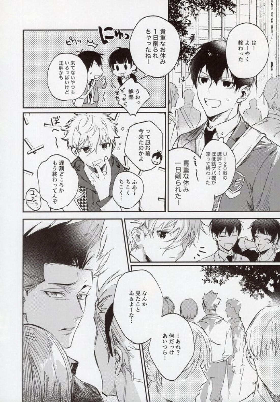 VIVID ADDITIVE MIXTURE 33ページ