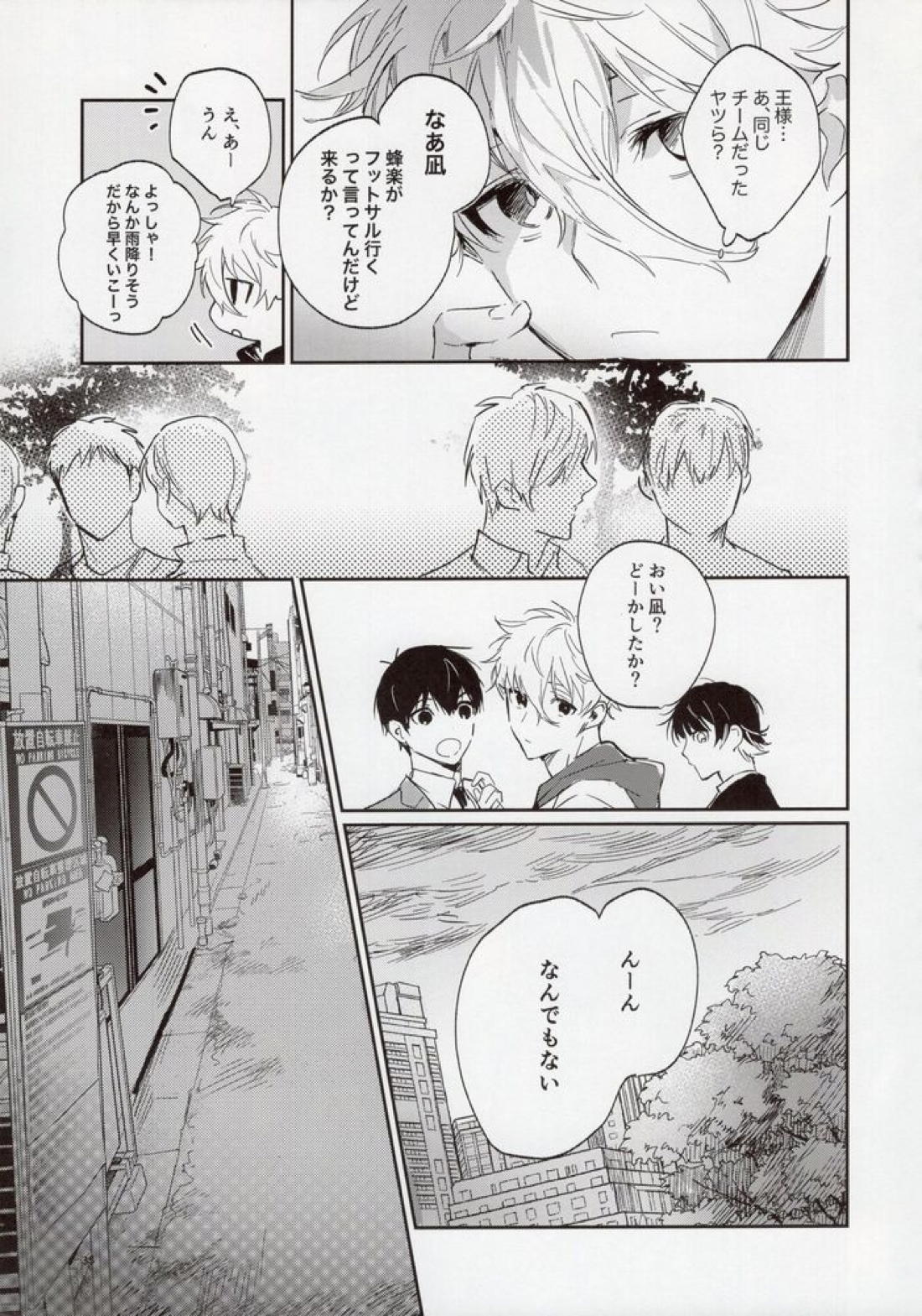 VIVID ADDITIVE MIXTURE 34ページ