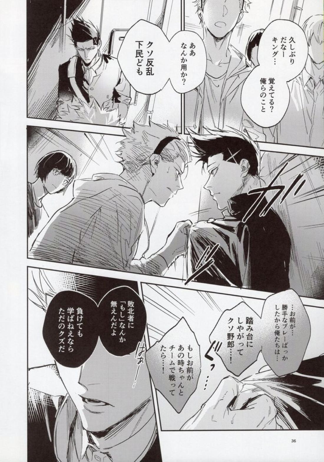 VIVID ADDITIVE MIXTURE 35ページ