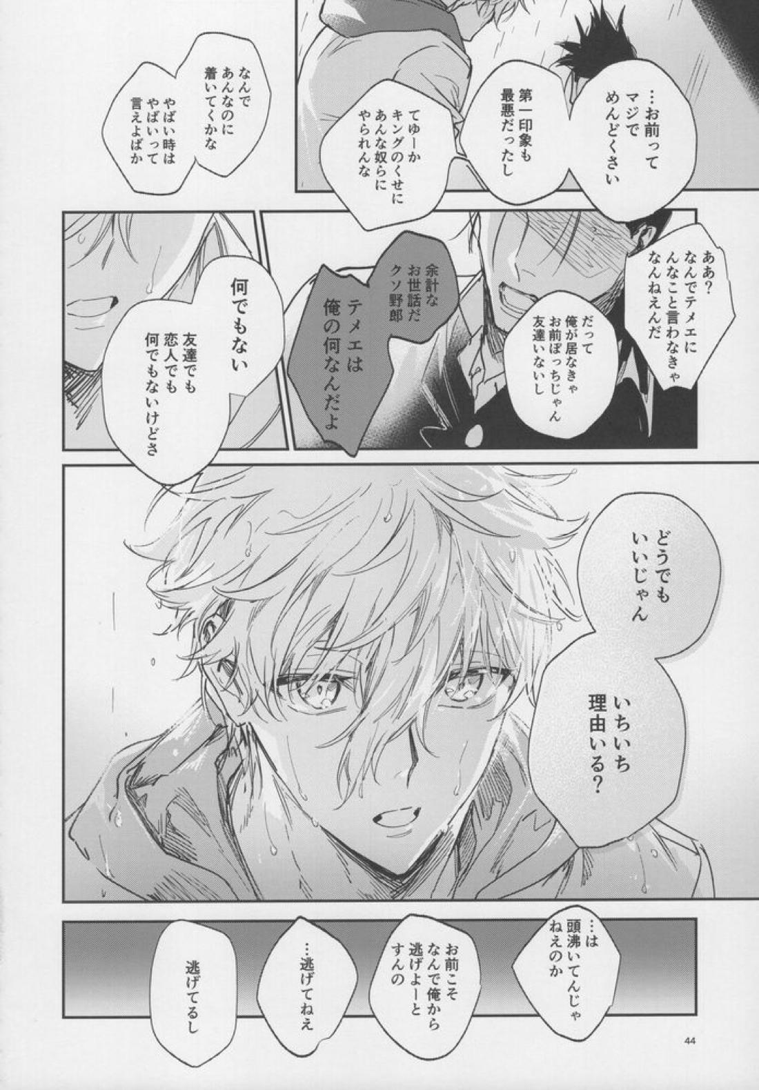 VIVID ADDITIVE MIXTURE 43ページ