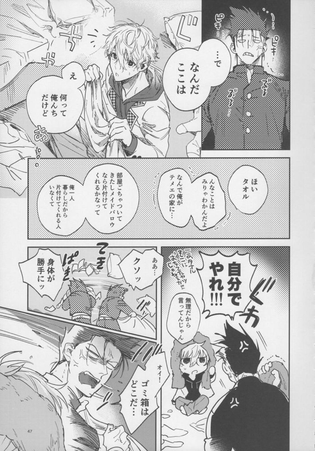 VIVID ADDITIVE MIXTURE 46ページ