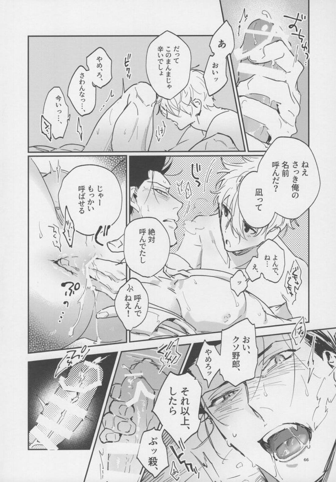 VIVID ADDITIVE MIXTURE 65ページ