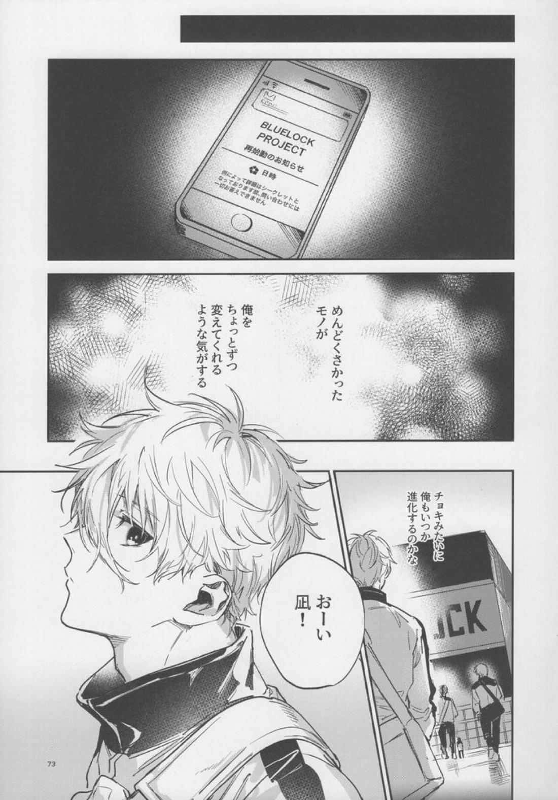 VIVID ADDITIVE MIXTURE 72ページ