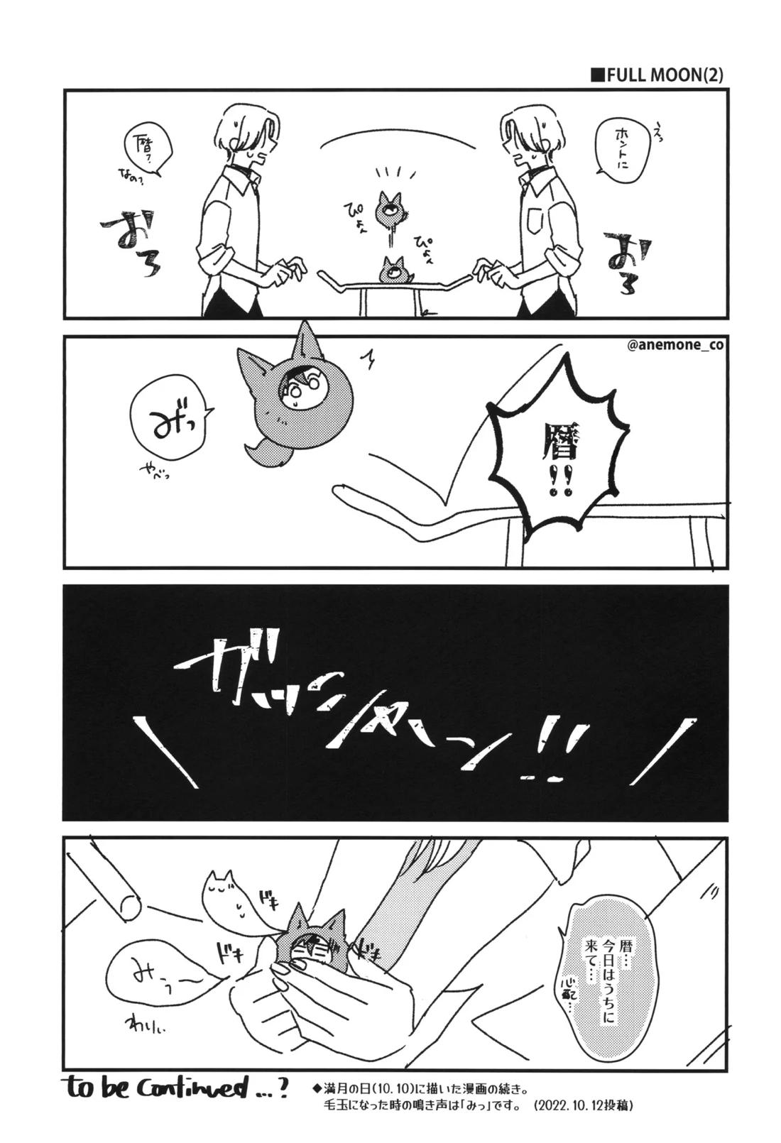 Log of Run 2 5ページ
